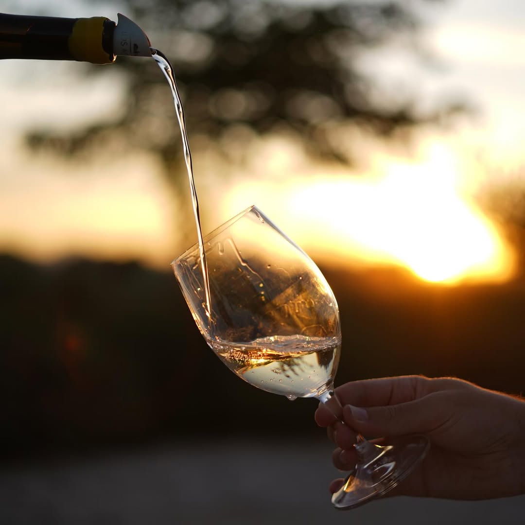 a person pouring a glass of wine