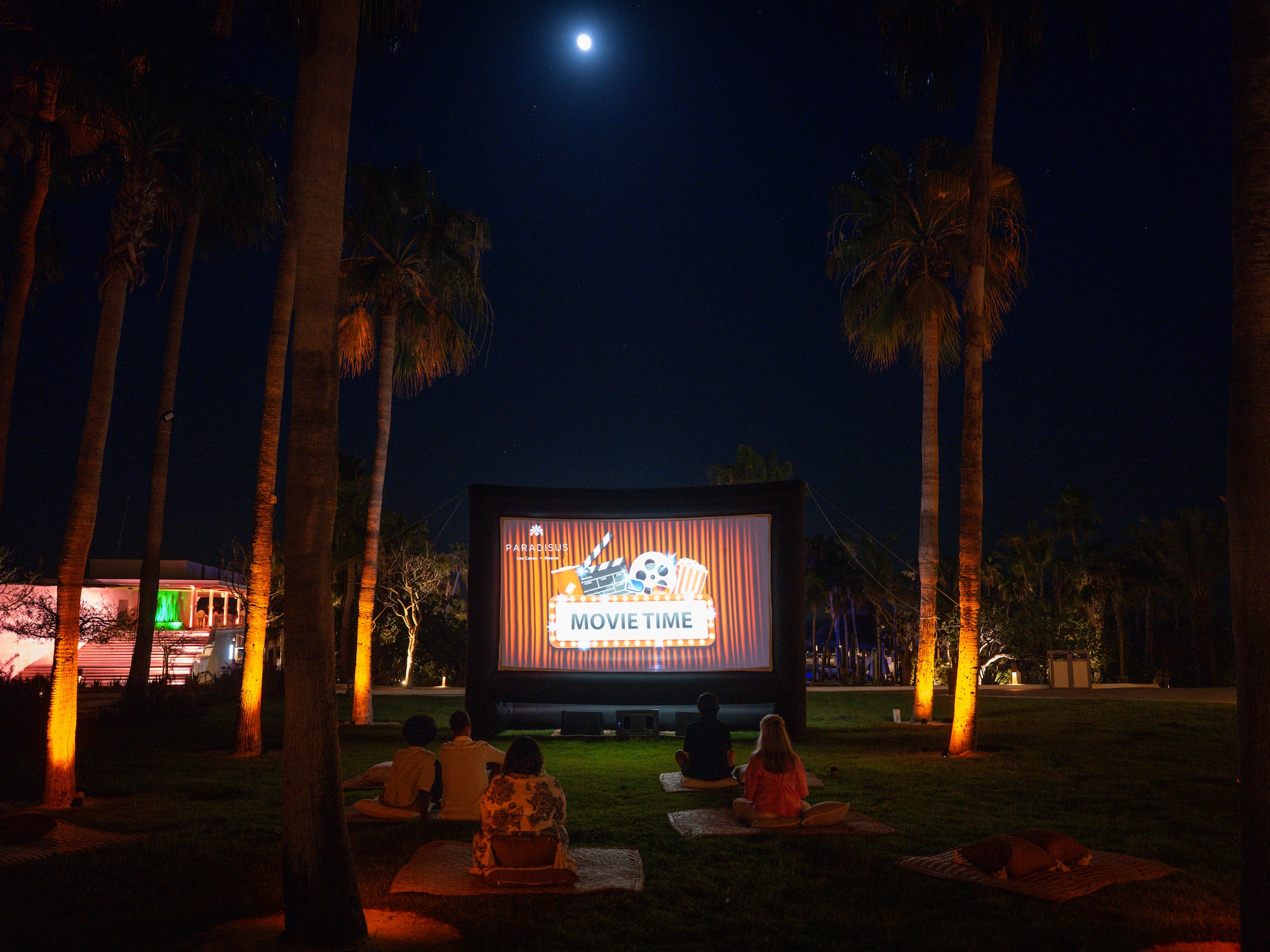 a group of people sitting on the grass watching a movie