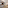 Modern hotel studio suite with bedroom, TV wall, and dedicated workspace.