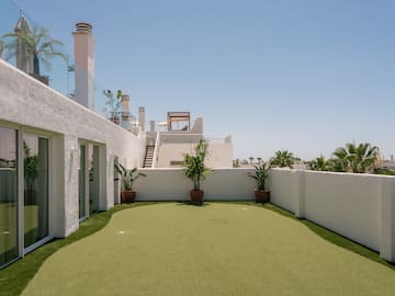 a green lawn with plants on it
