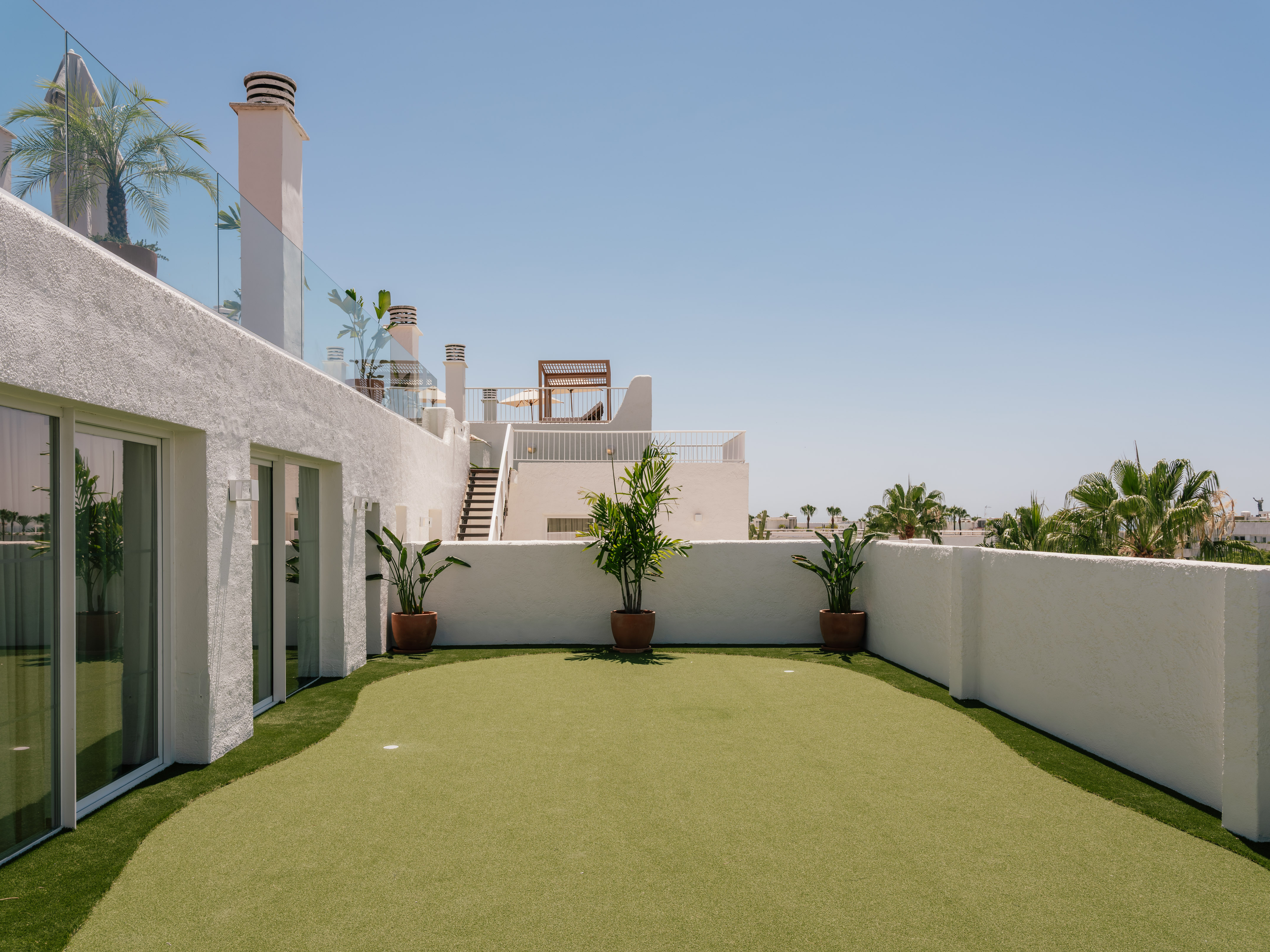 a green lawn with plants on it