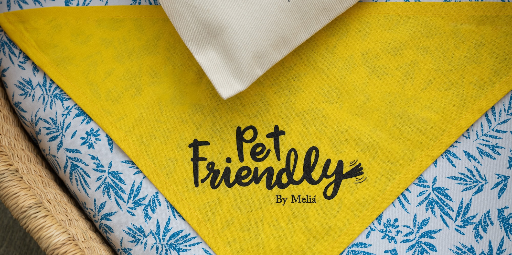 a dog care products on a bed