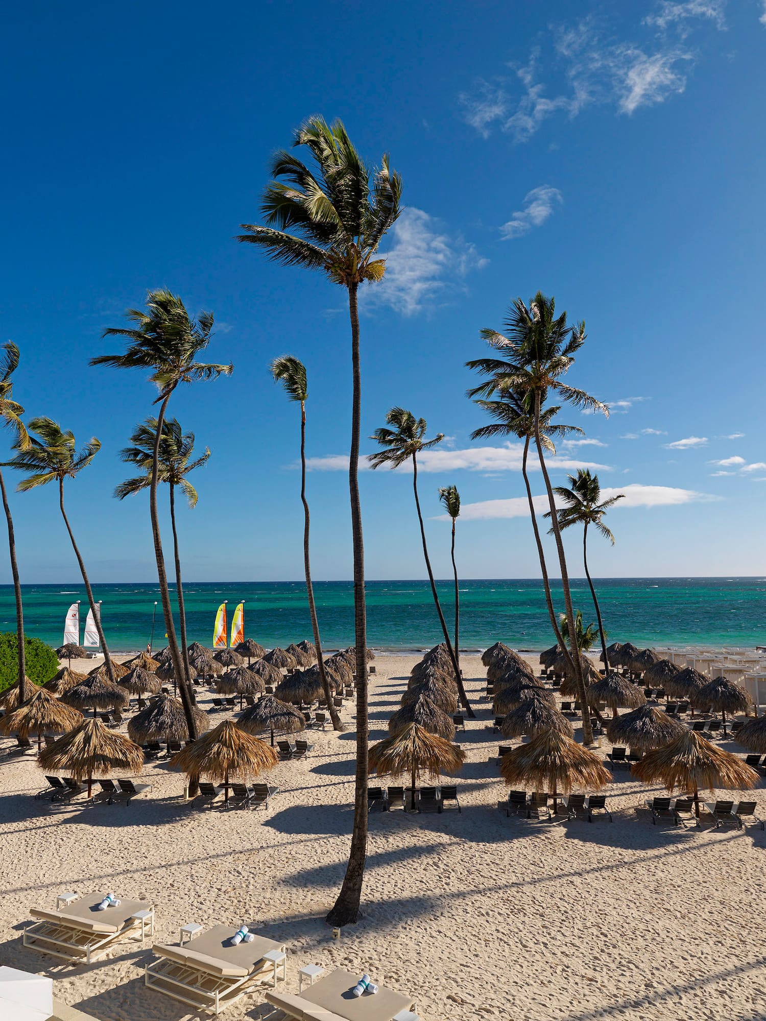 a beach with palm trees and umbrellas