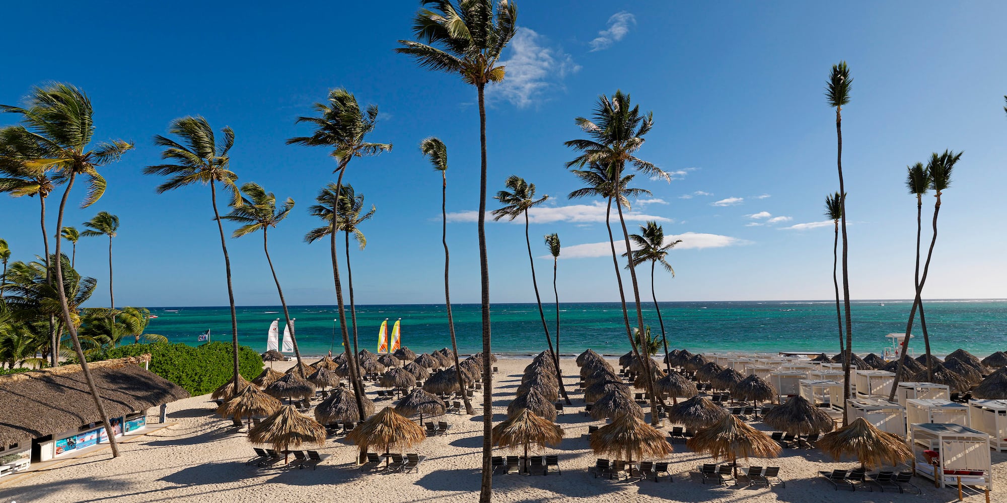 a beach with palm trees and umbrellas