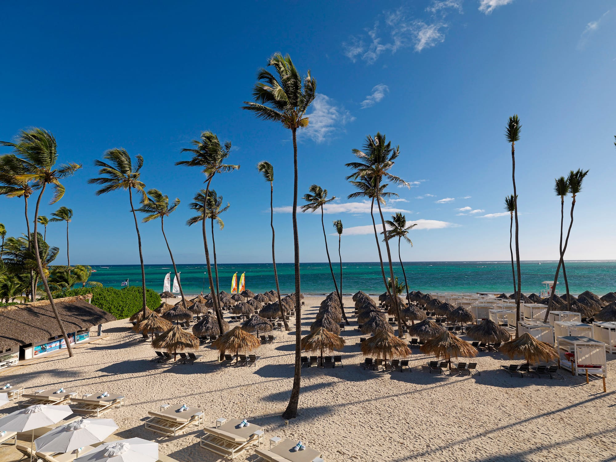 a beach with palm trees and umbrellas