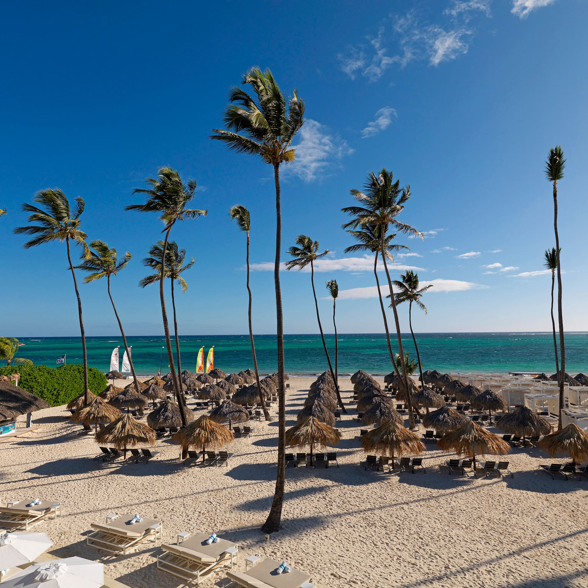 a beach with palm trees and umbrellas