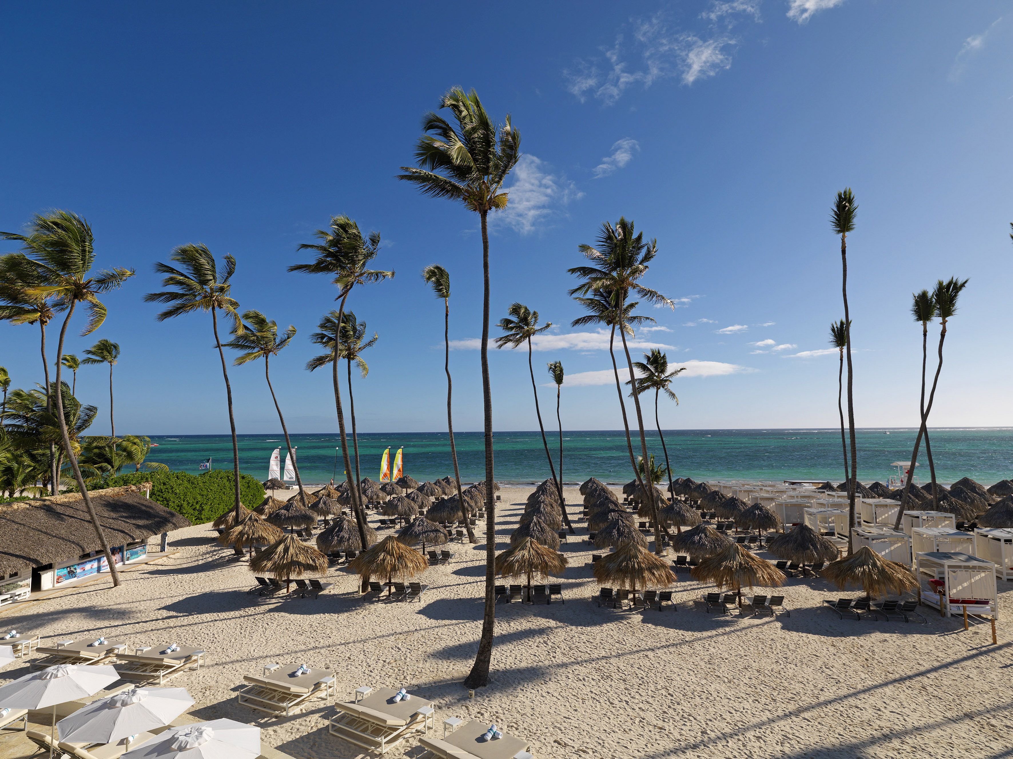 Tropical beach resort with palm trees, thatched umbrellas, and turquoise sea.