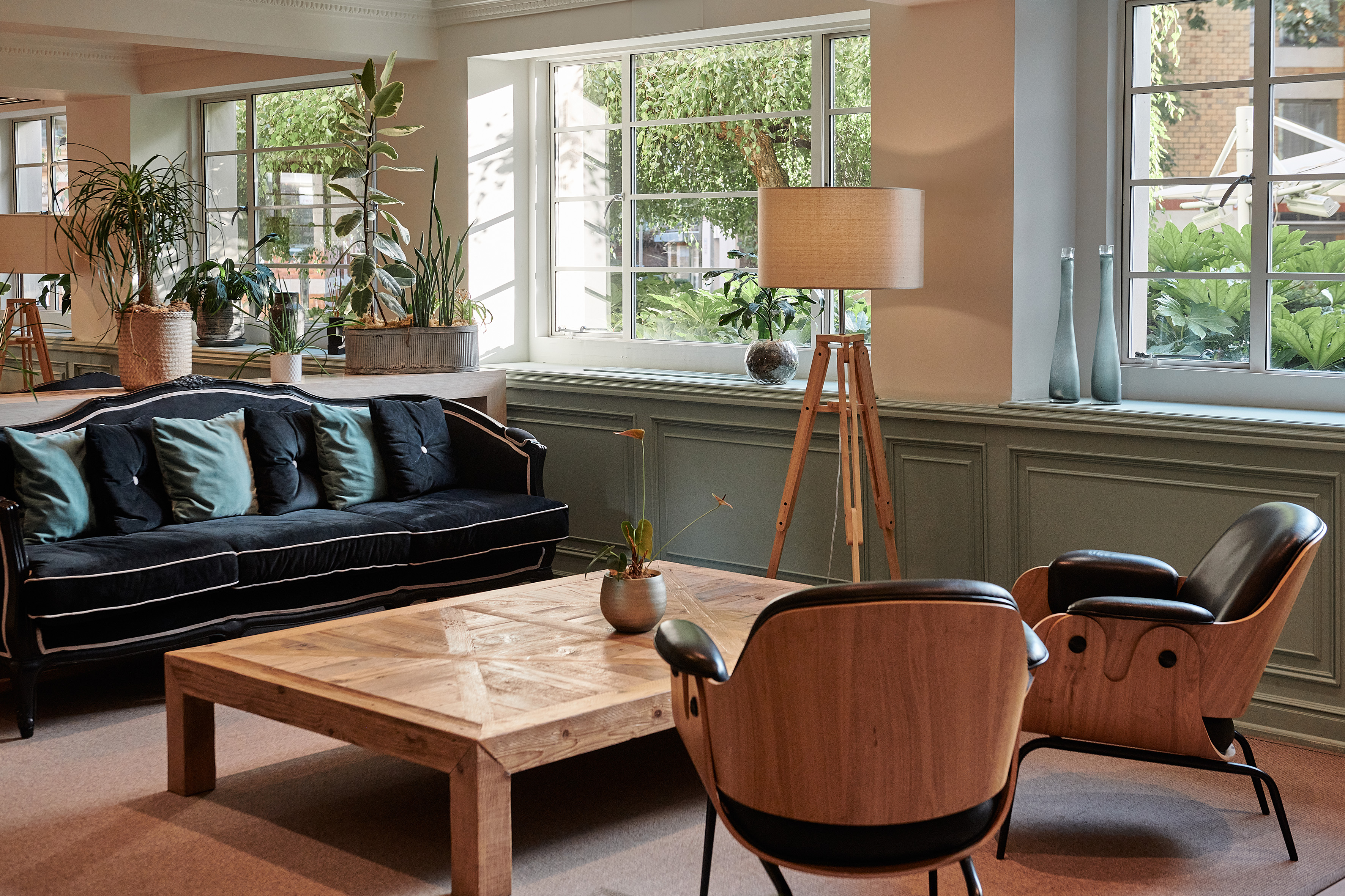 Stylish lounge interior with black velvet sofa, modern chairs, plants, and natural light.