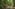 Ancient moss-covered temple in a lush jungle with Naga statues by a stream.