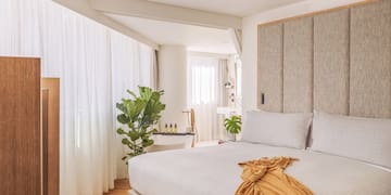 a bedroom with a bed and a plant