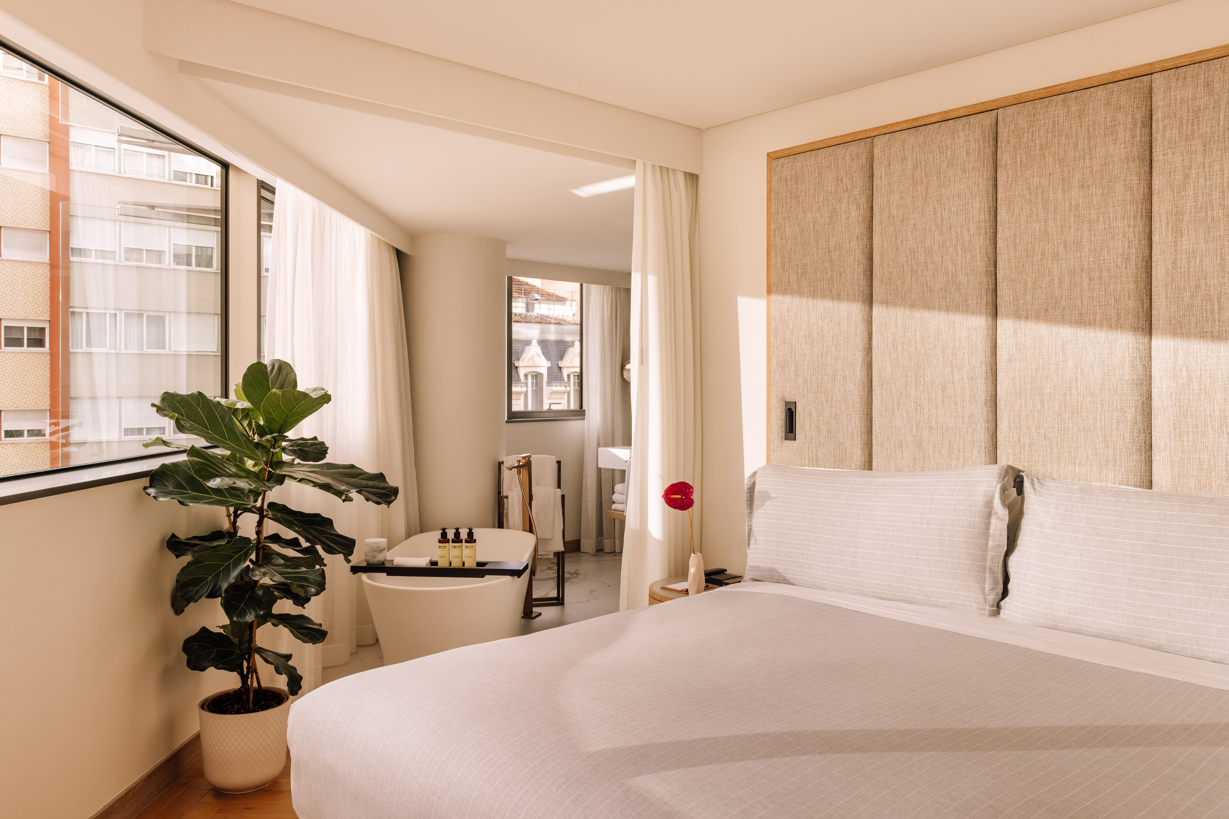 Modern hotel bedroom with freestanding tub, city view, and large fiddle leaf fig.