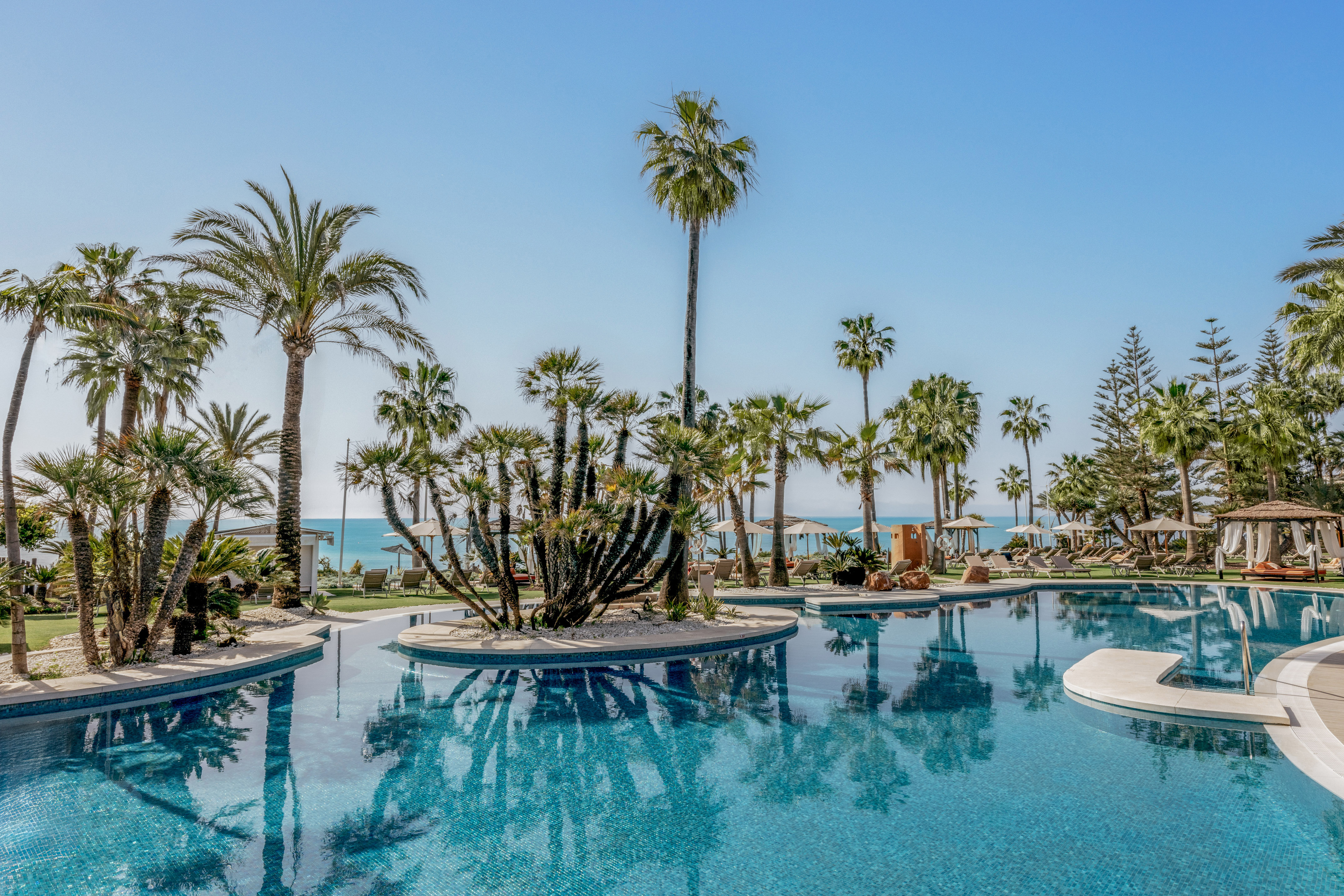 Hotel swimming pool with palm trees, beach, and blue ocean view.