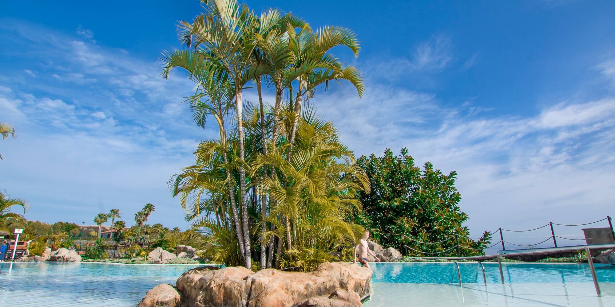 a person standing on a rock in a pool with palm trees