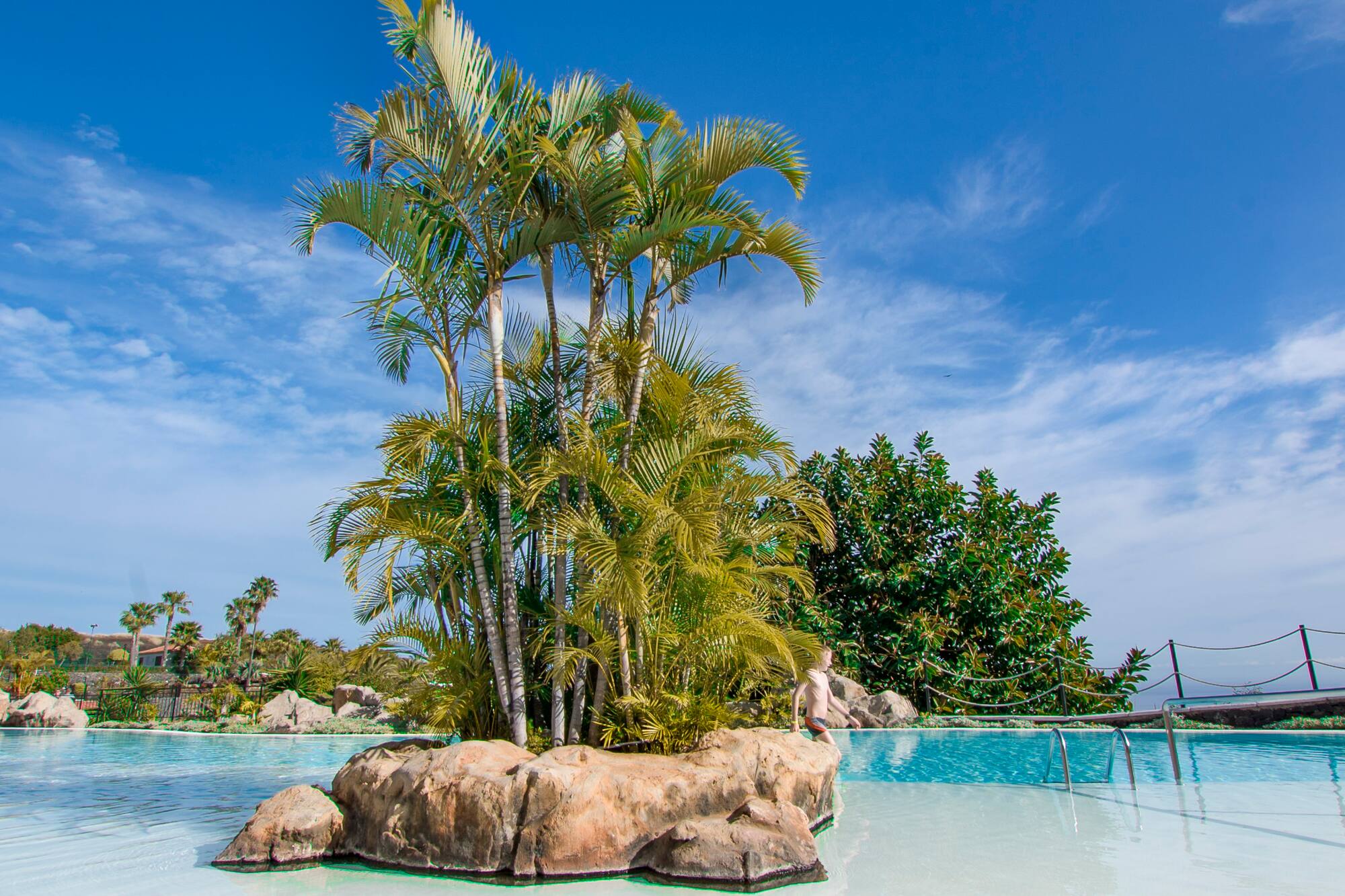 a person standing on a rock in a pool with palm trees