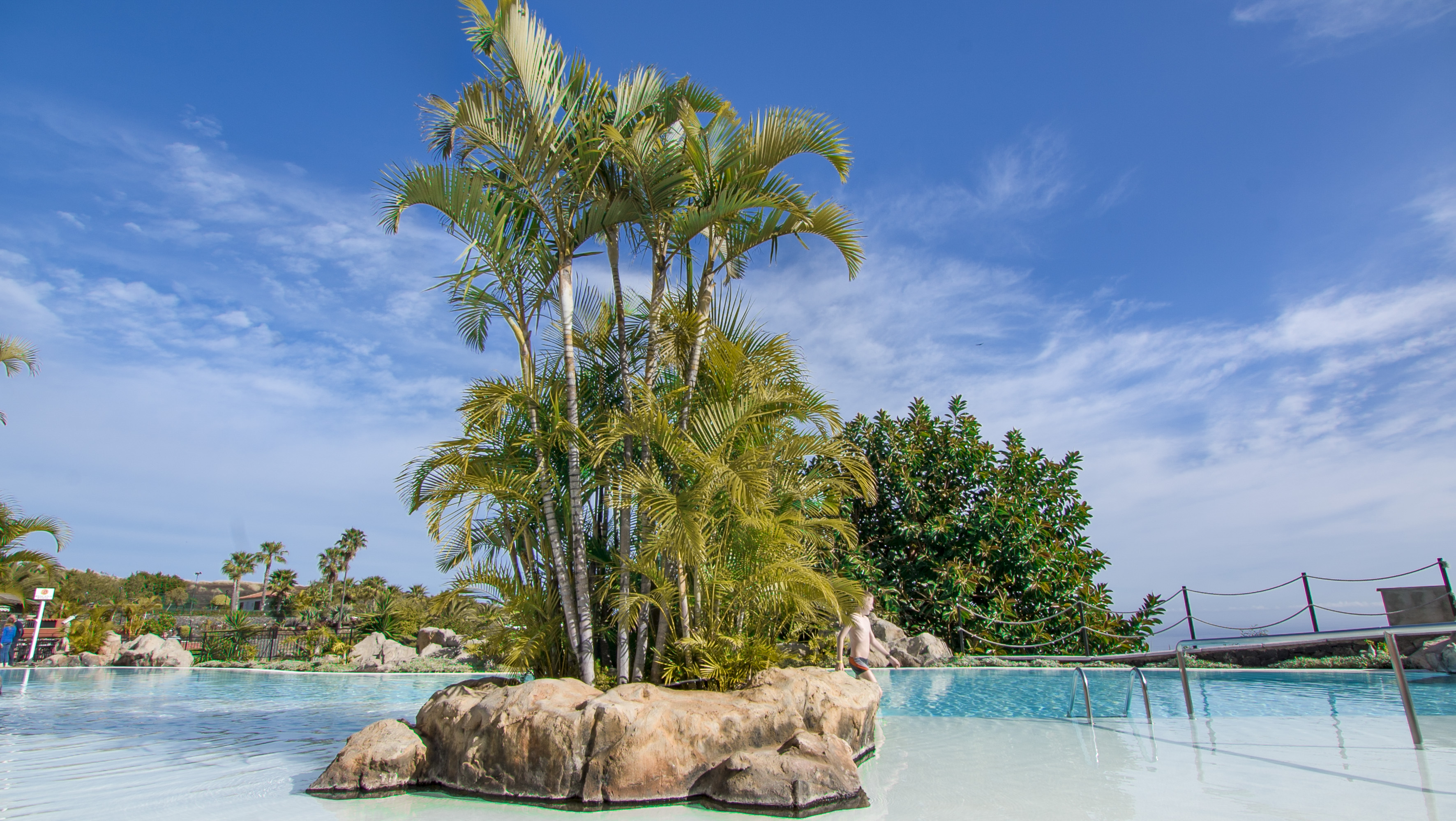 Tropical resort swimming pool with palm trees on a rock island.