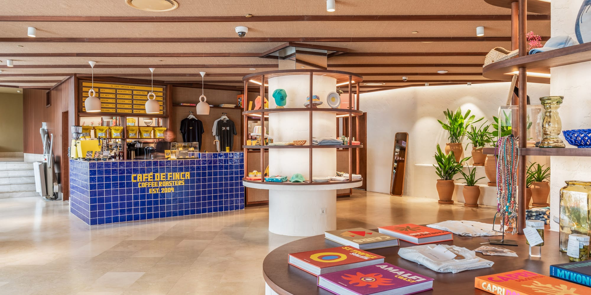 a store with shelves and books