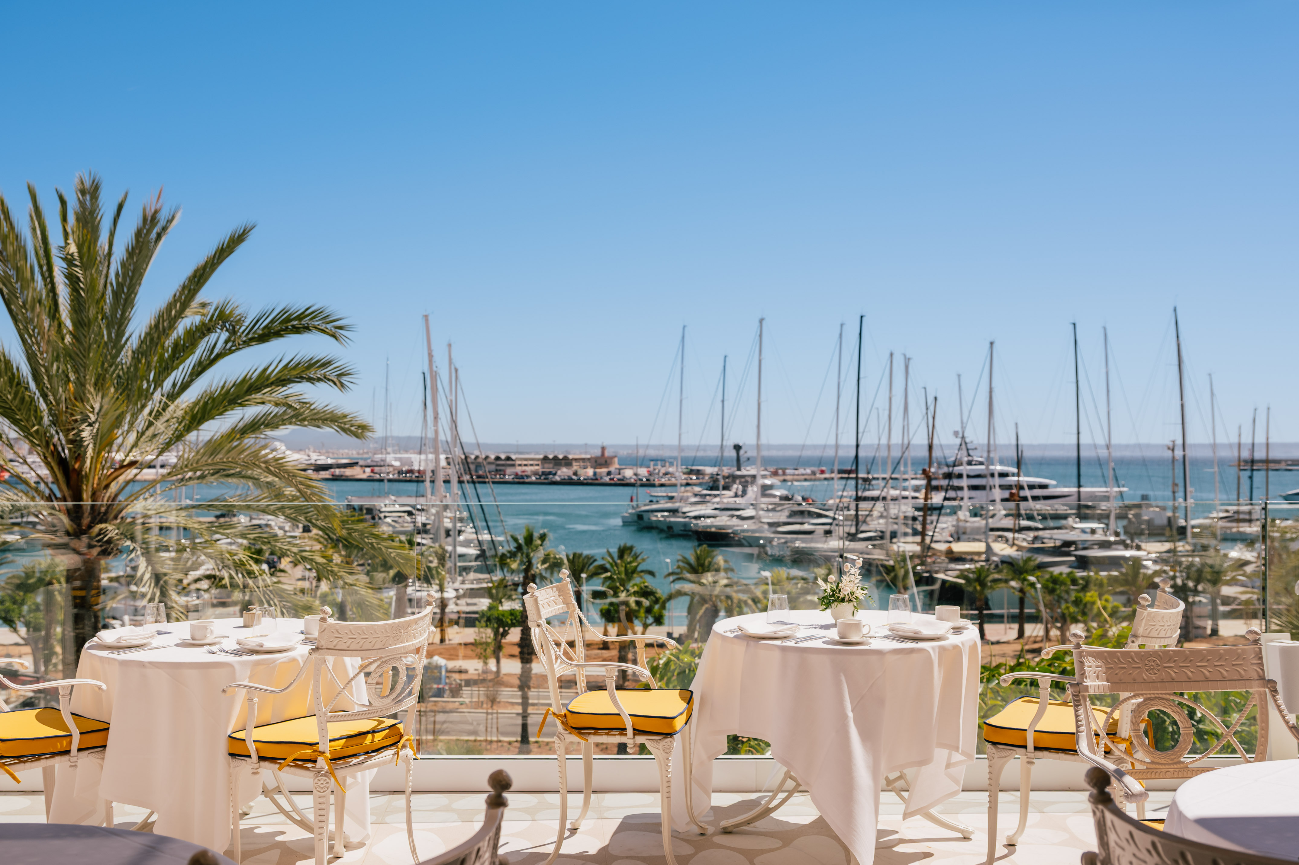 Waterfront restaurant dining with marina view, yachts, and palm trees.