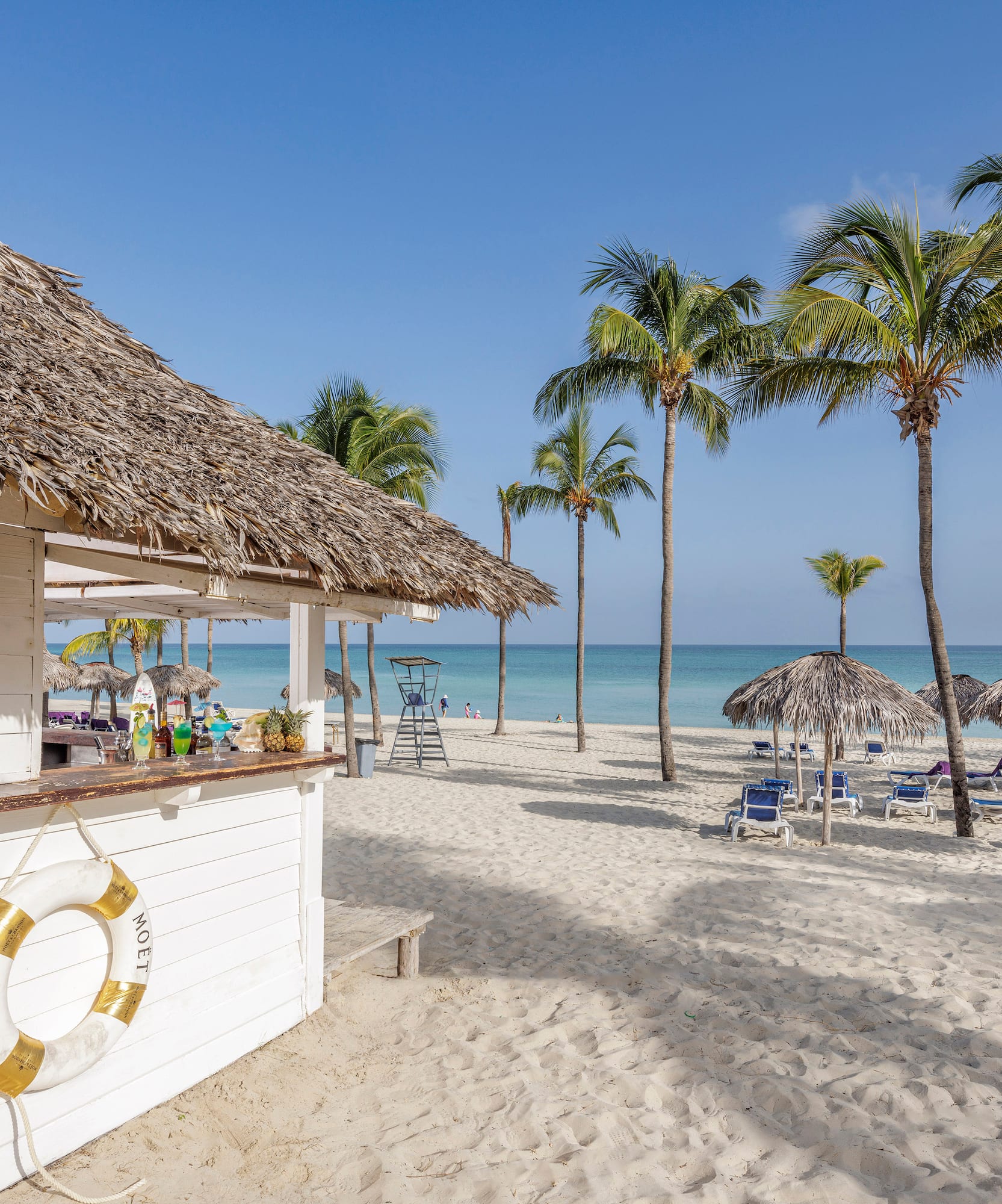 a beach with a hut and palm trees