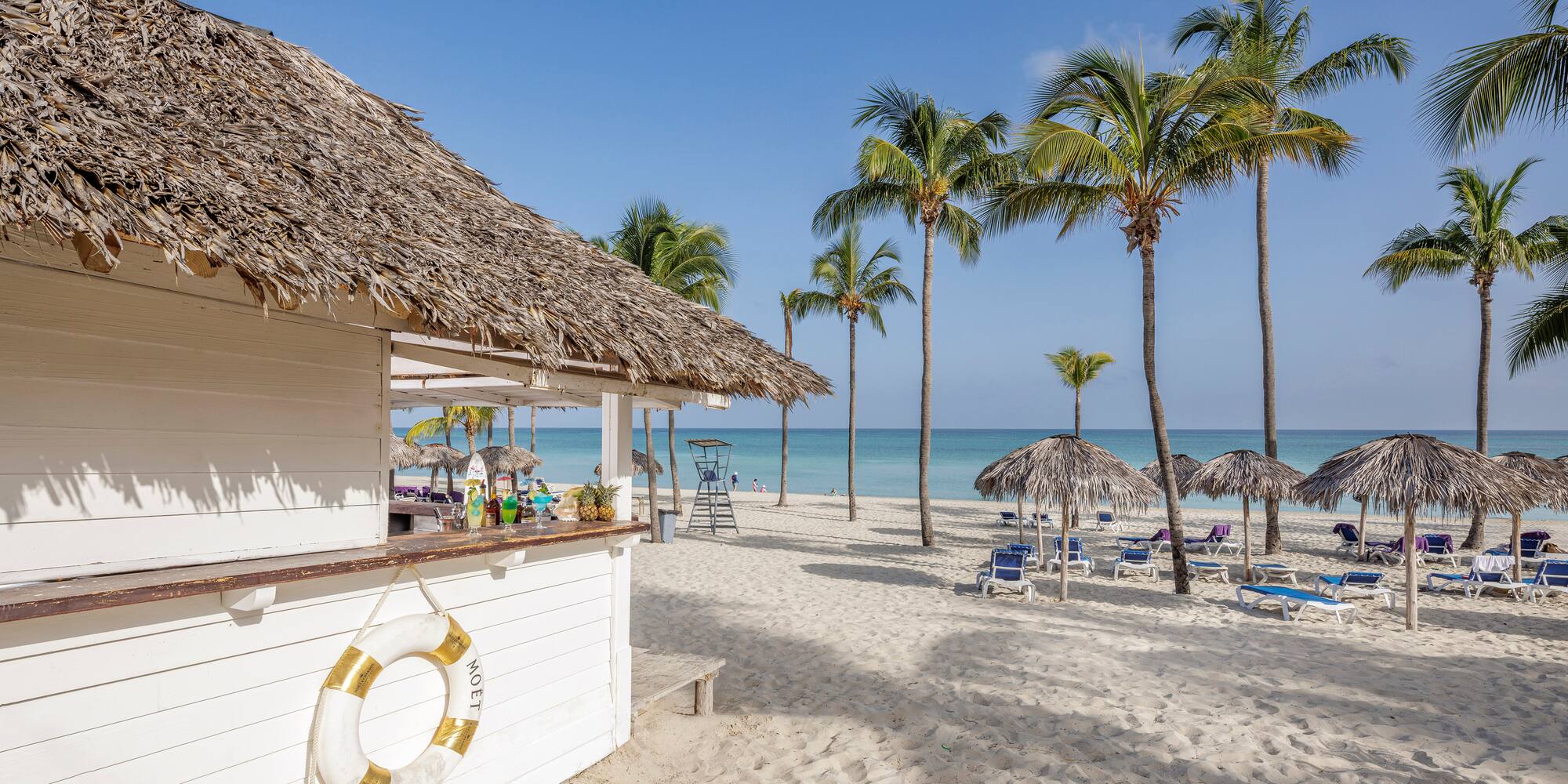a beach with a hut and palm trees