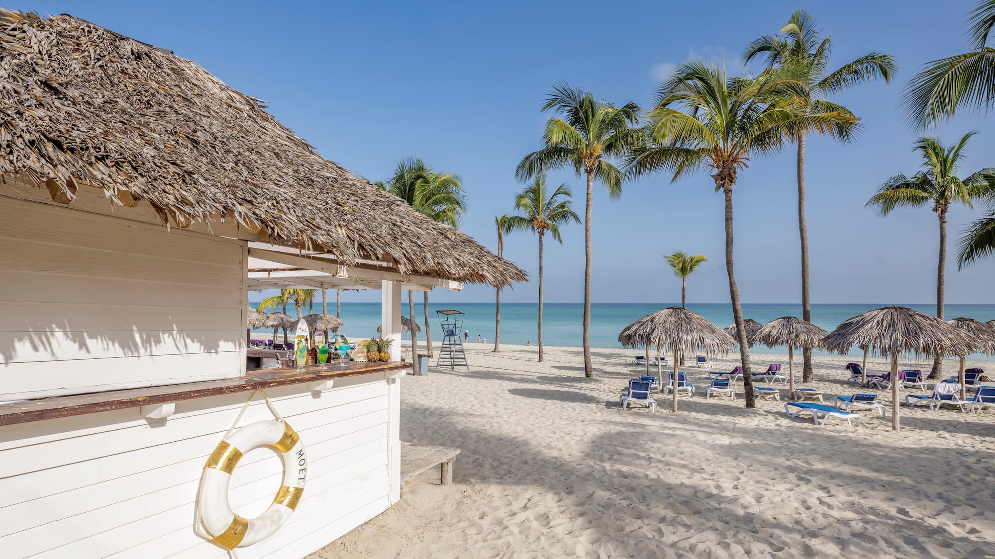 a beach with a hut and palm trees