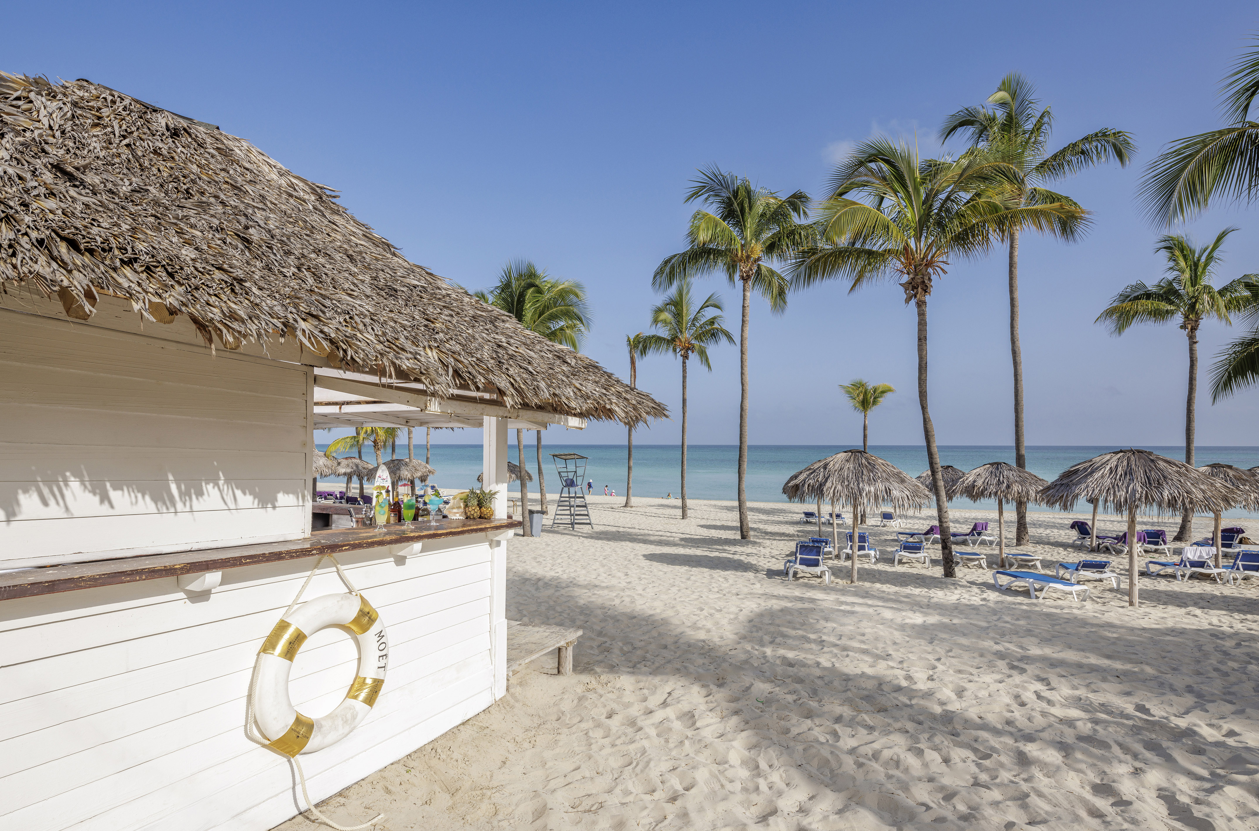 a beach with a hut and palm trees