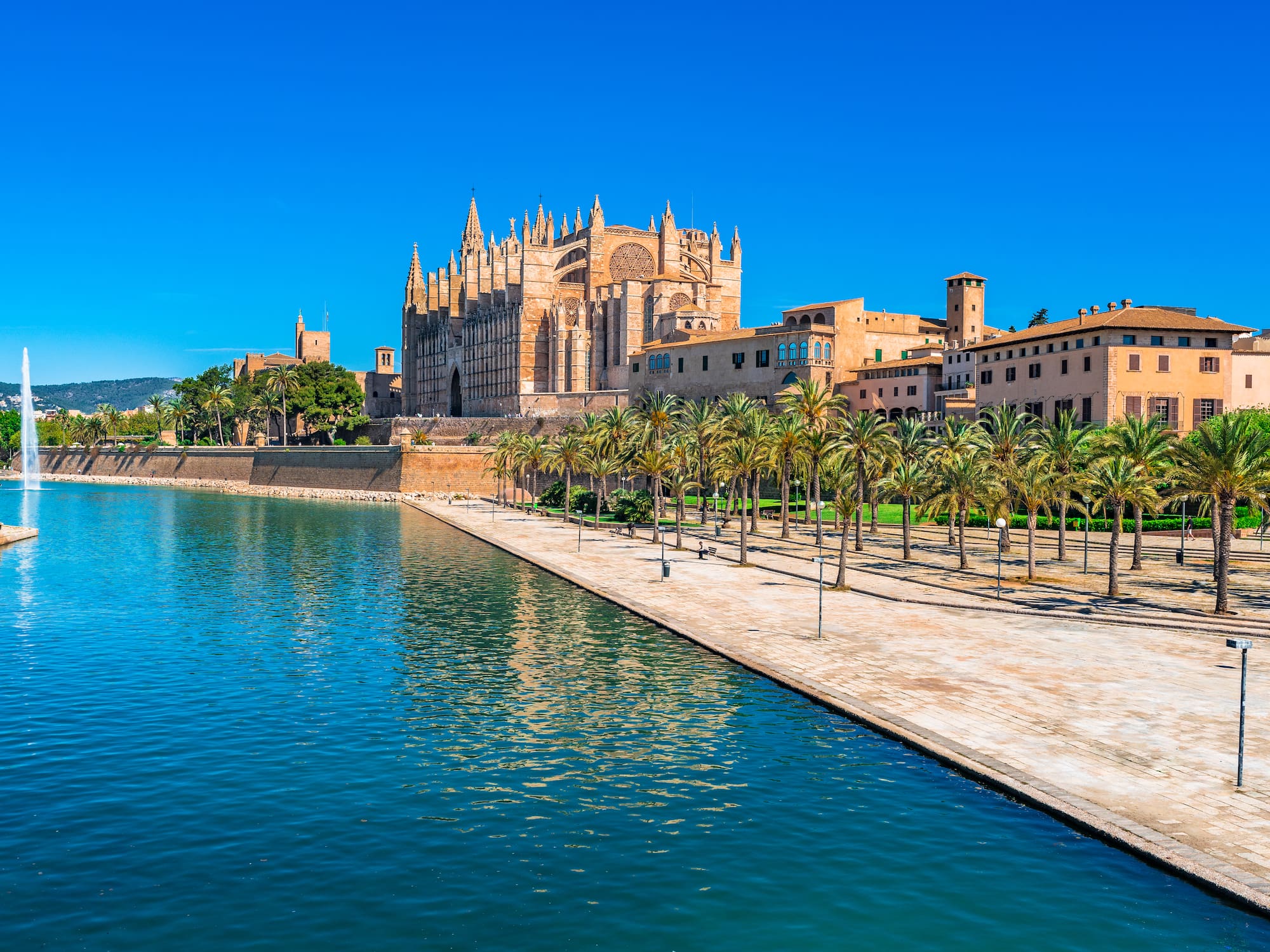 Catedral La Seu de Palma de Mallorca, lago con fuente y palmeras.