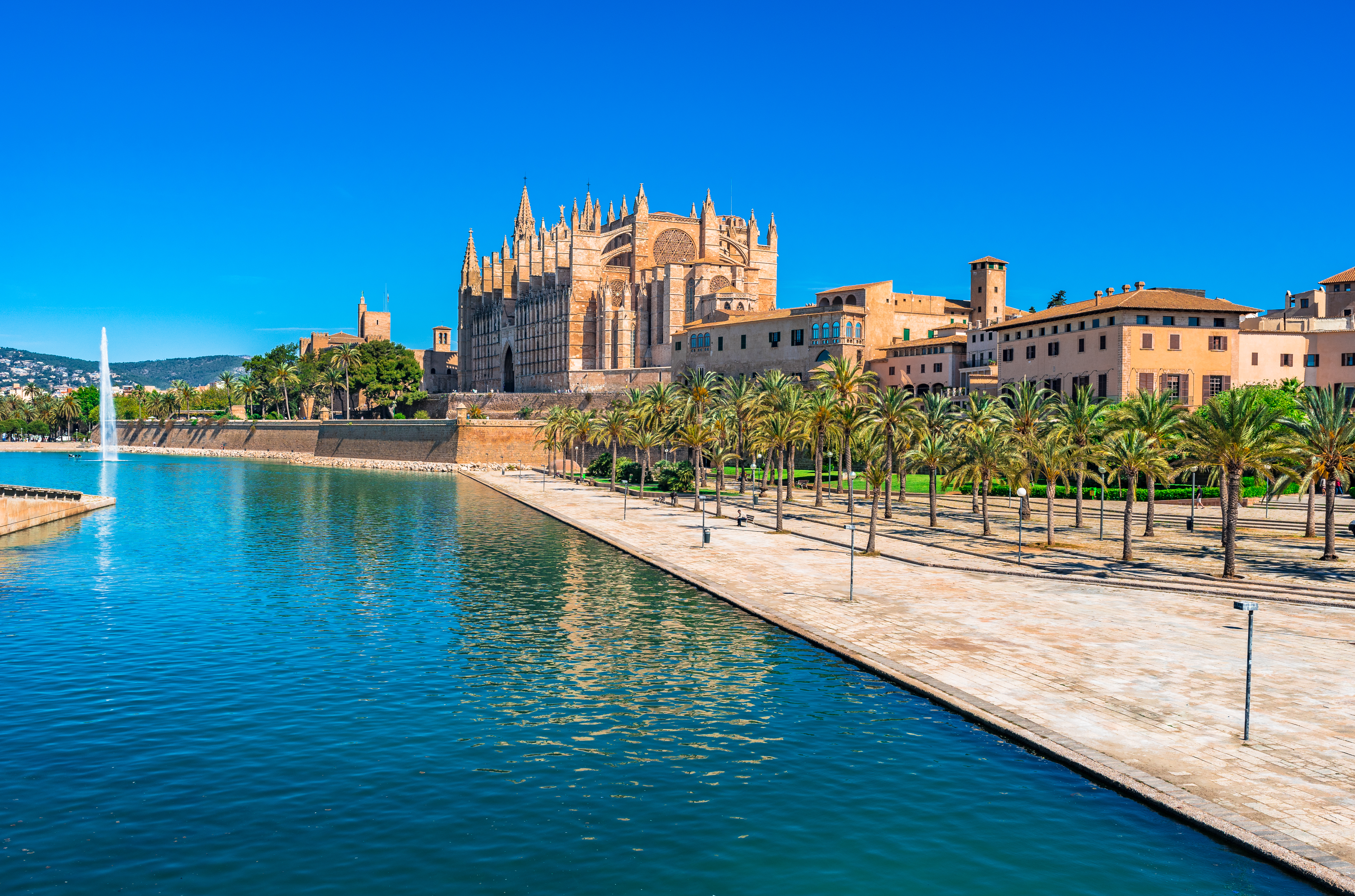 Catedral La Seu de Palma de Mallorca, lago con fuente y palmeras.