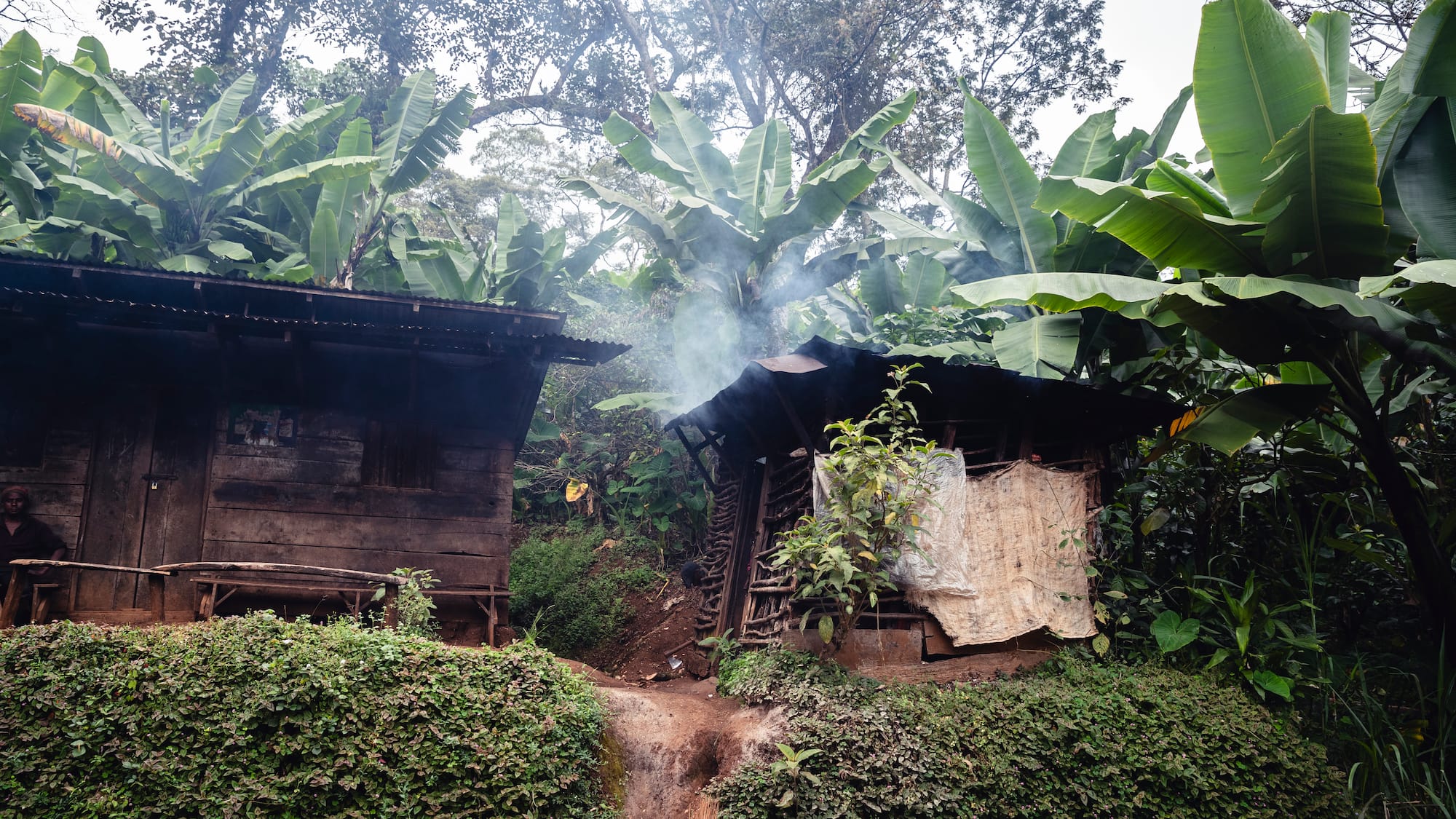 a two wooden huts in the woods