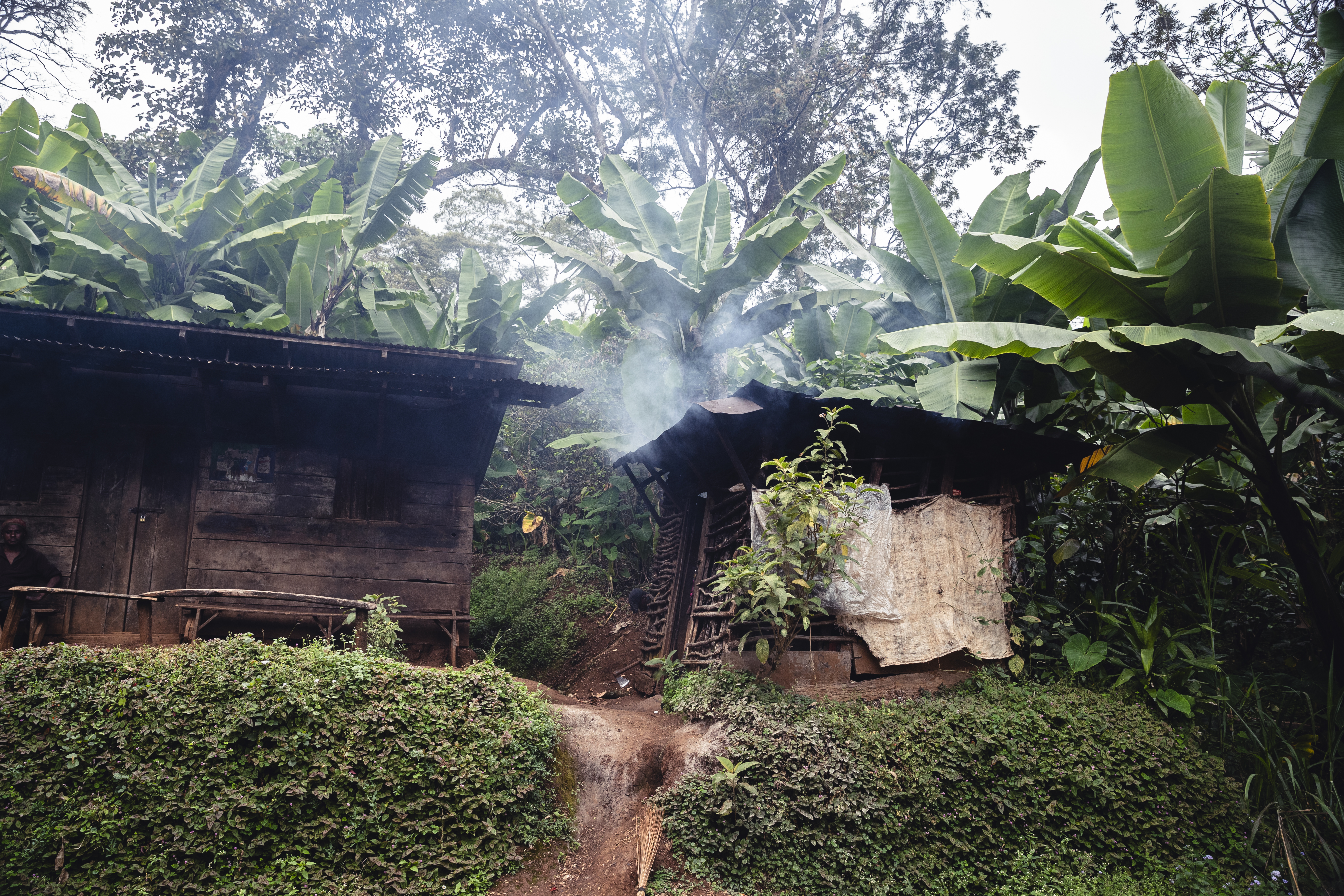 a two wooden huts in the woods