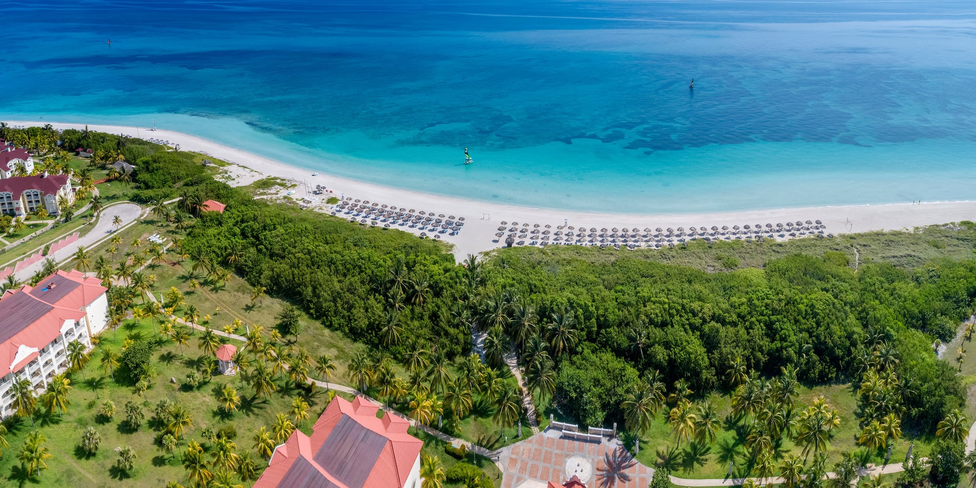a beach with trees and a body of water