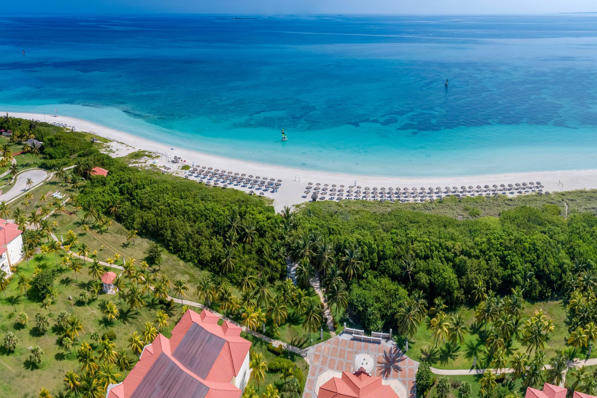 a beach with trees and a body of water