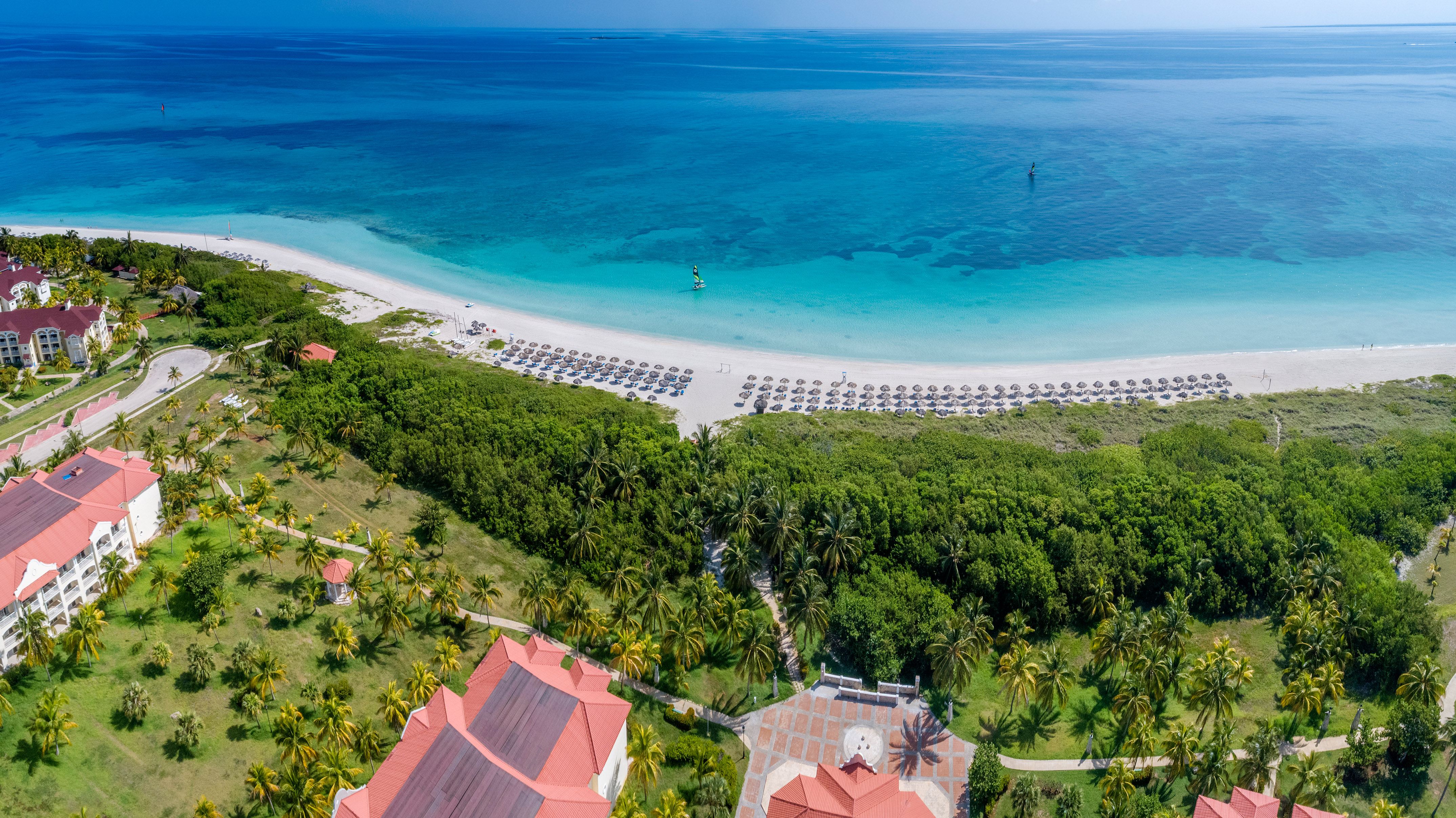 a beach with trees and a body of water