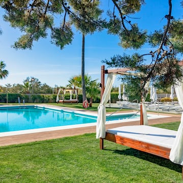 a pool with a canopy and trees