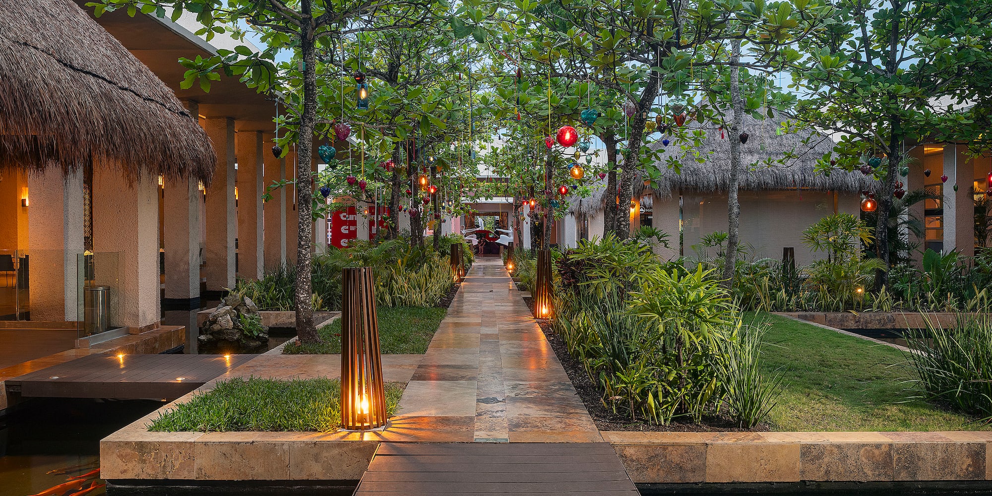 a walkway with trees and plants