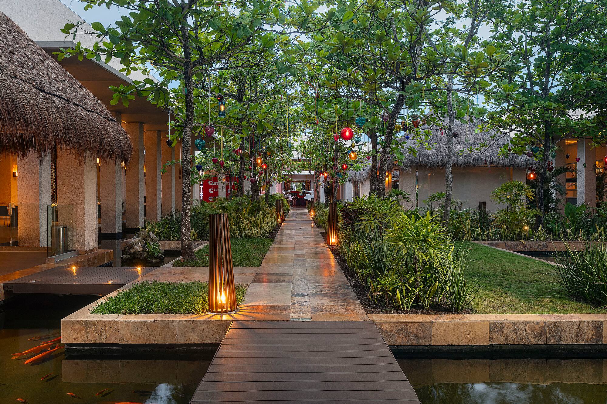 a walkway with trees and plants