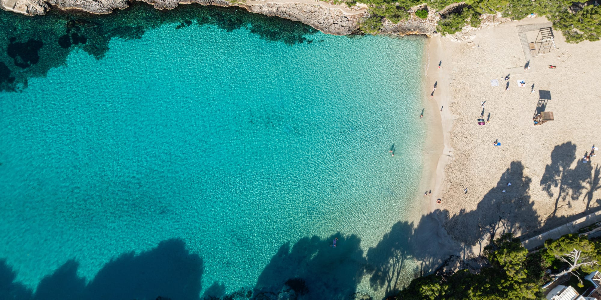 a beach with trees and a pool