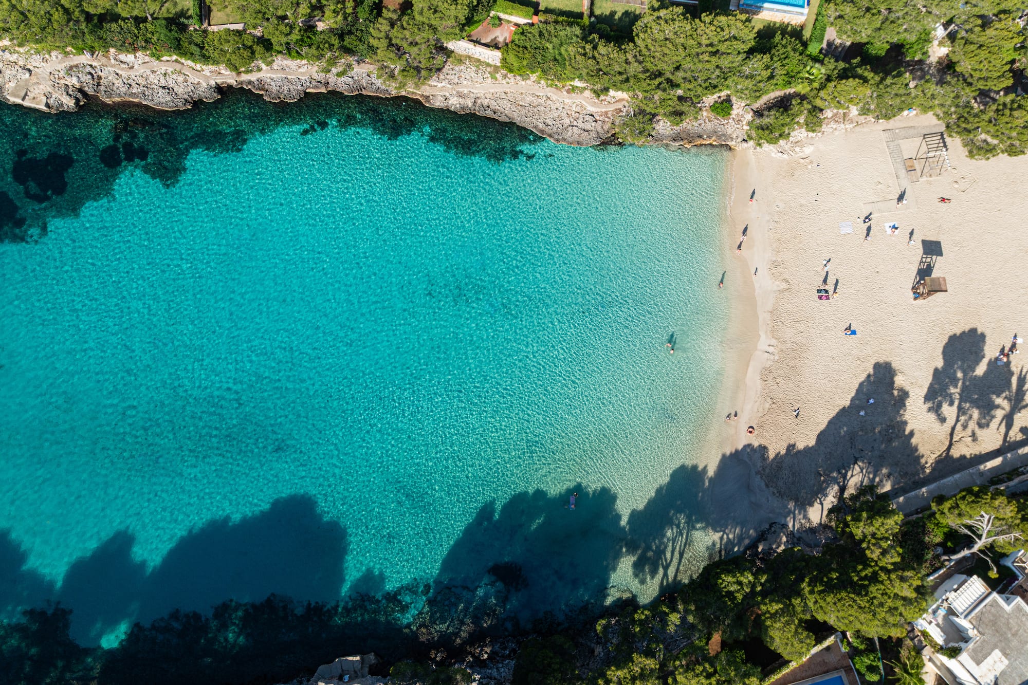 Cala con playa de arena, agua turquesa cristalina y vegetación, vista aérea.