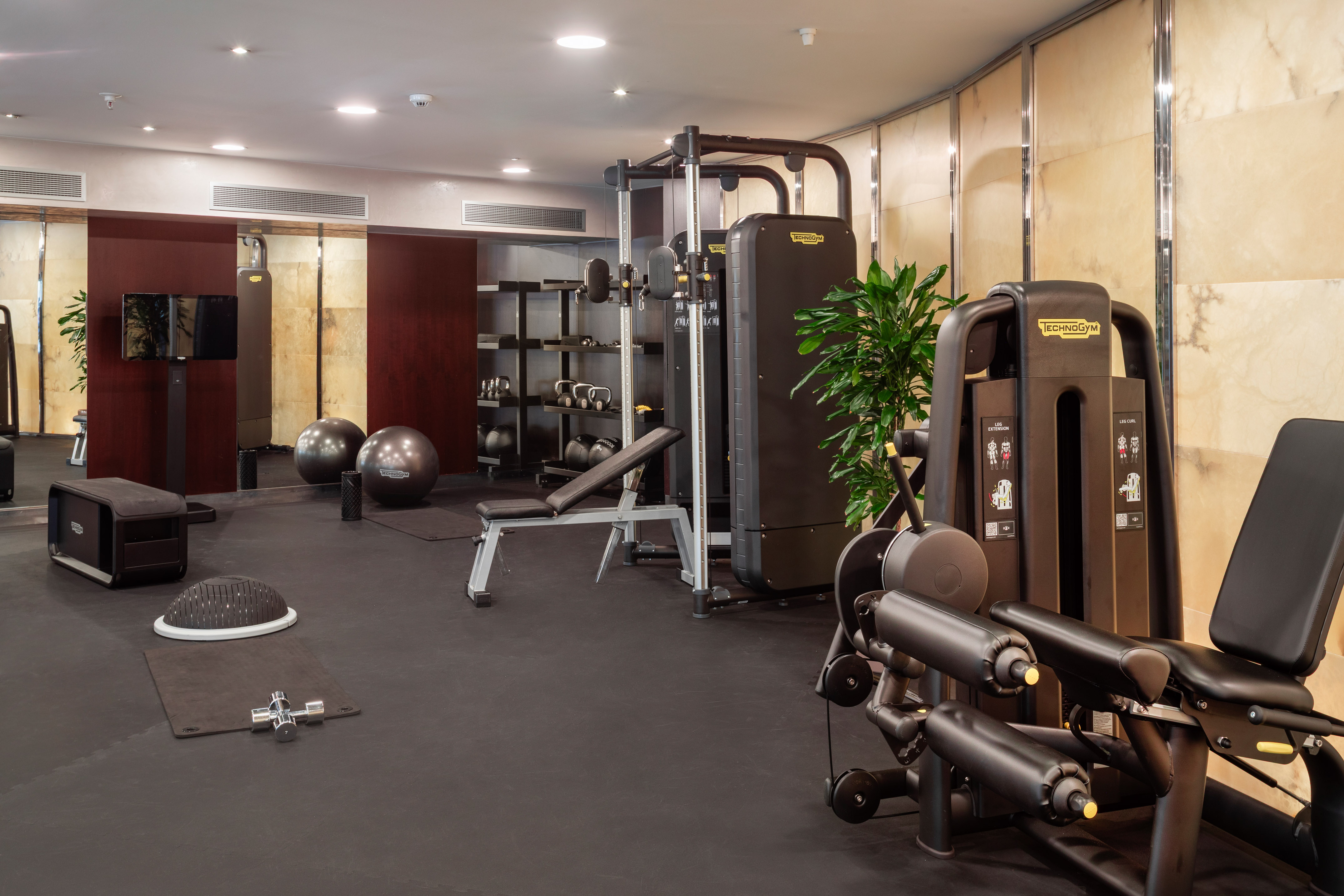 Modern gym with Technogym equipment, free weights, and stability balls.