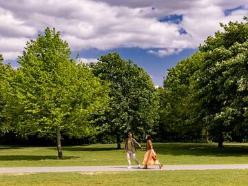 a man and woman holding hands and walking in a park