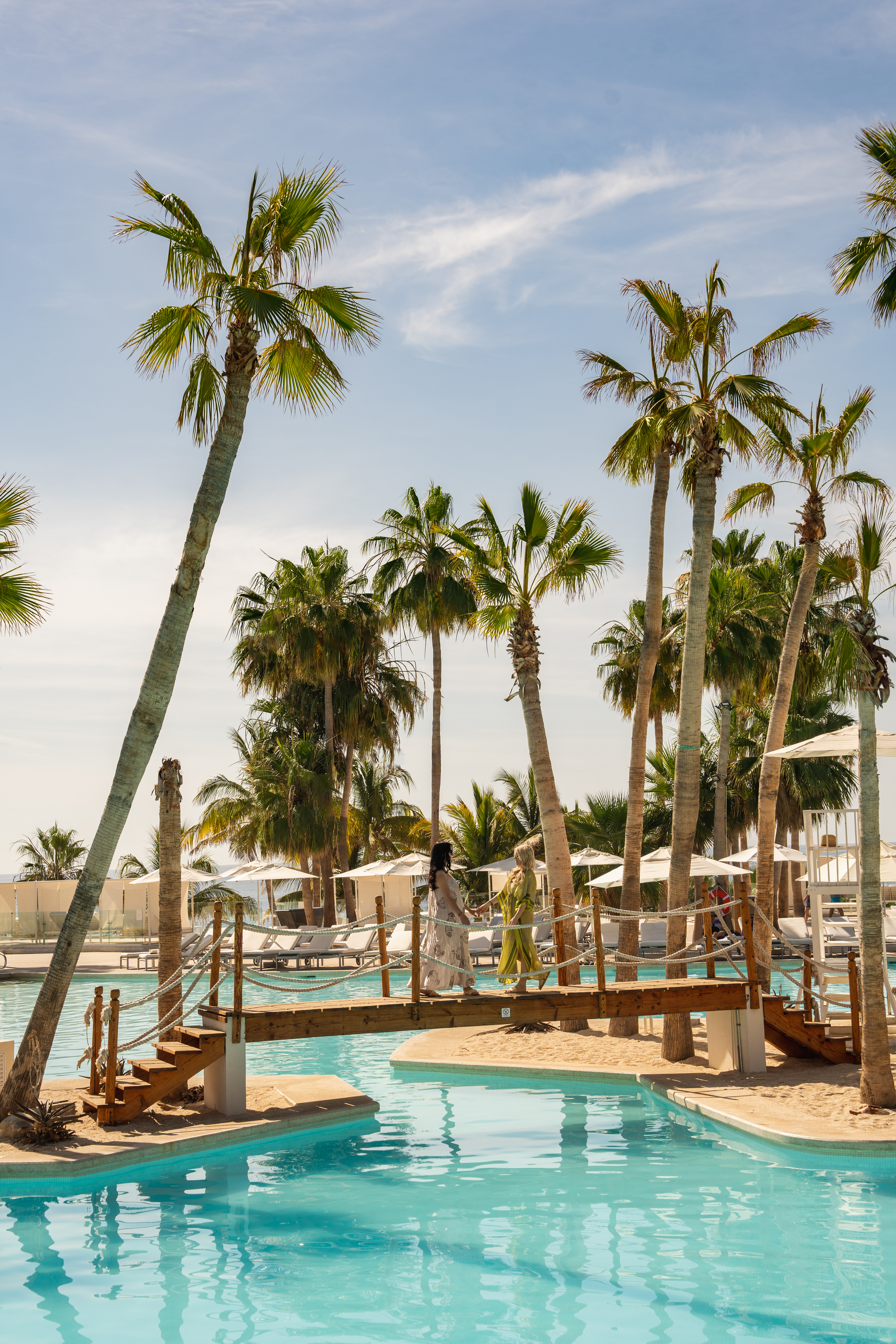a bridge over a pool with palm trees