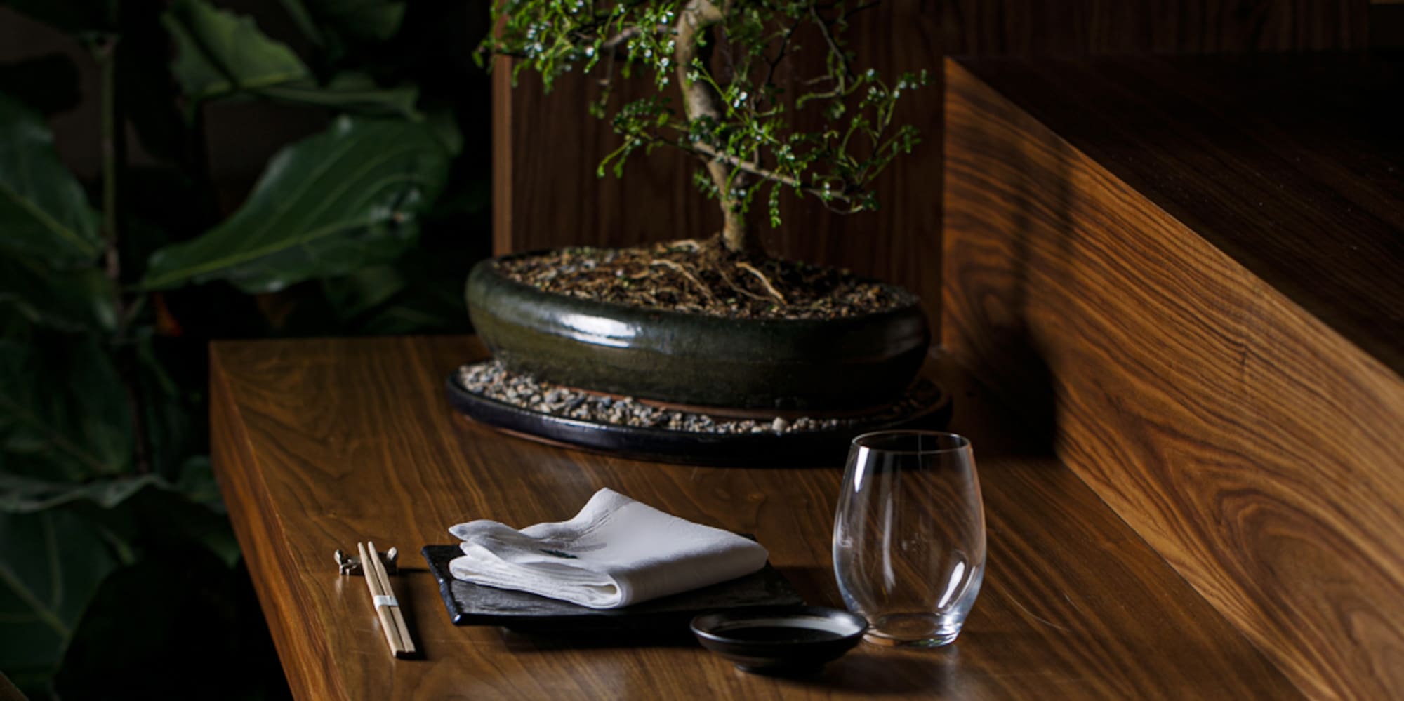 a table with a bonsai tree on it