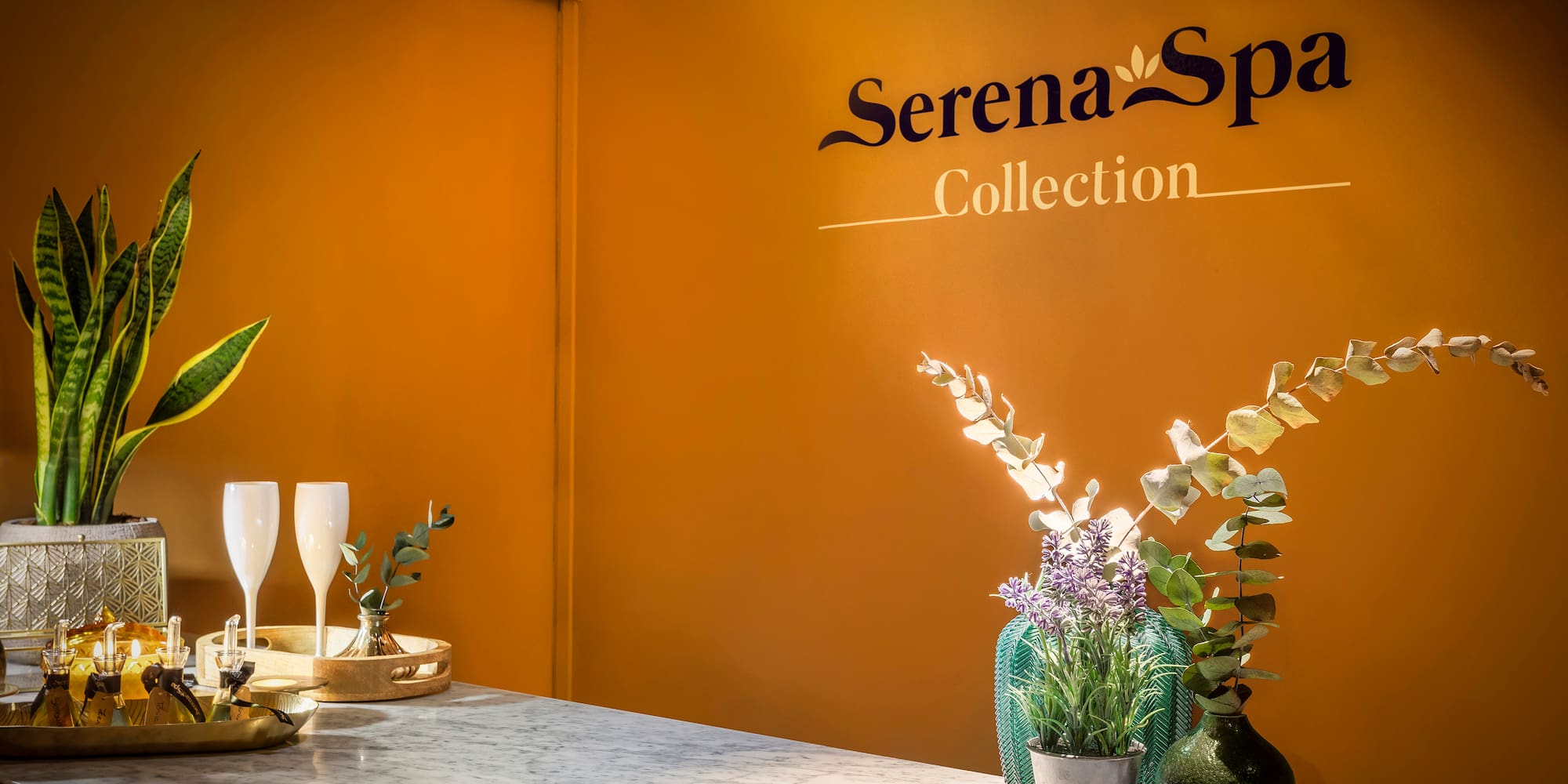 a table with vases and plants on it