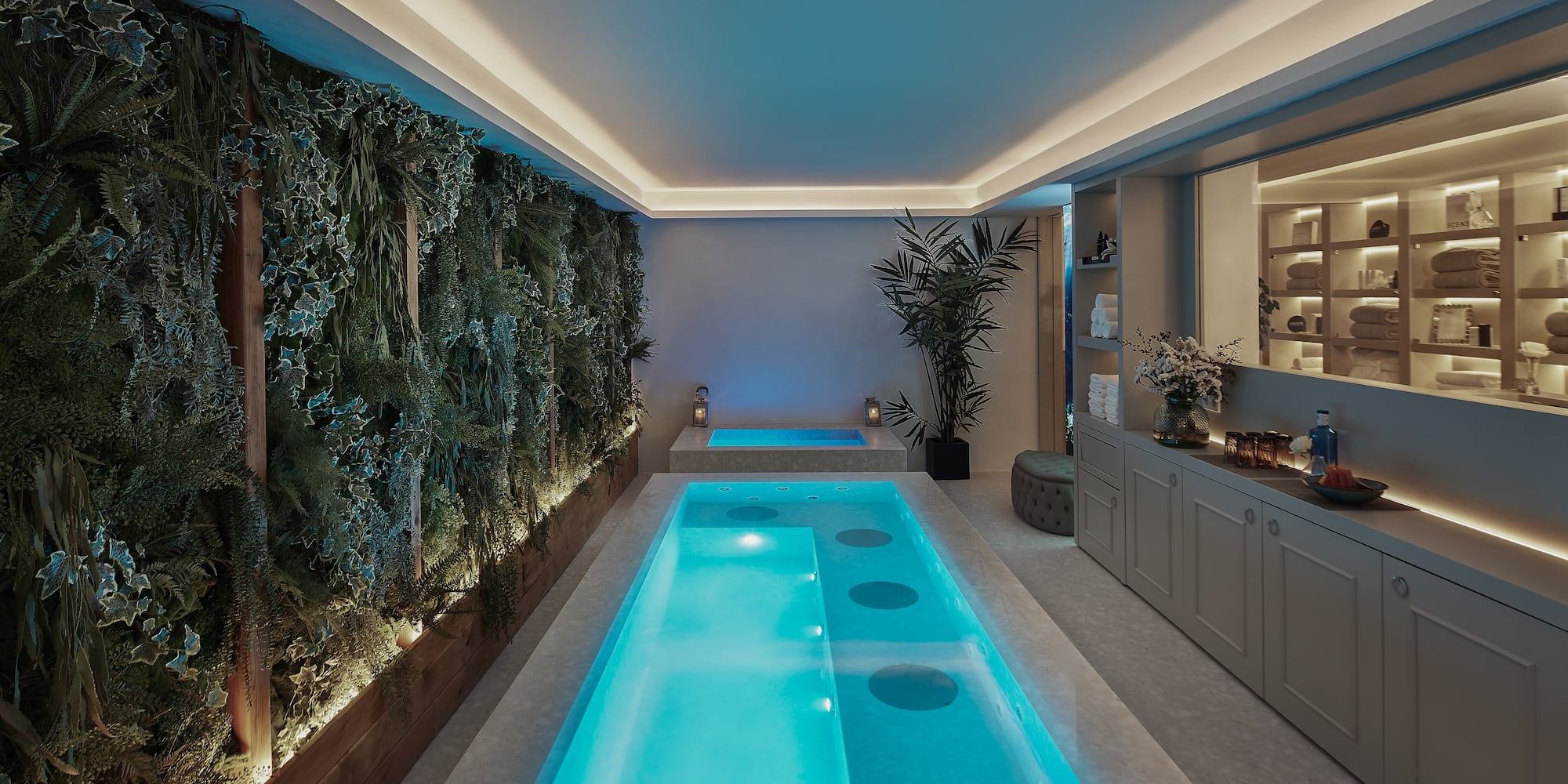 a indoor pool with plants and a wall
