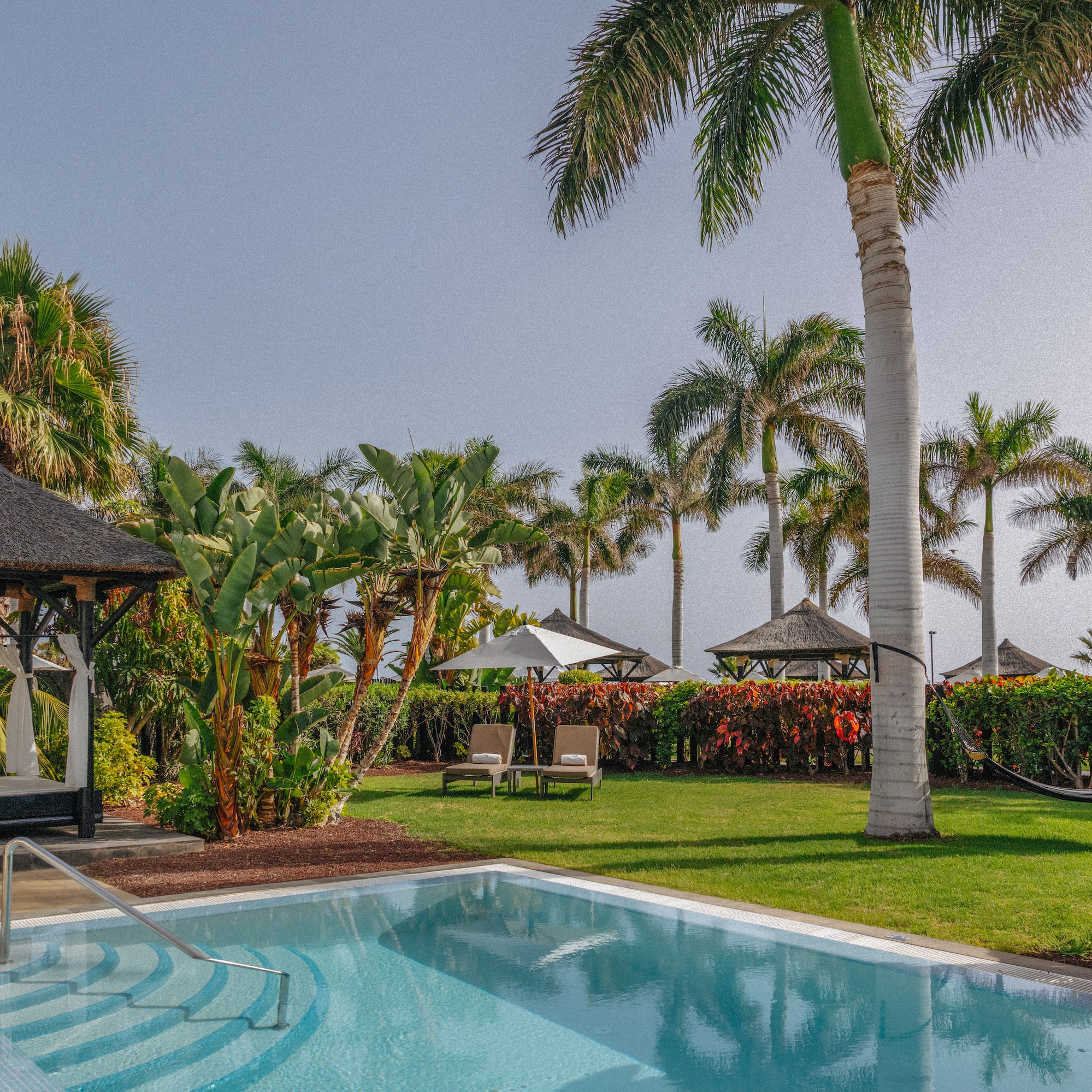 Luxury hotel private pool with tropical garden, palm trees, and thatched gazebo daybed.