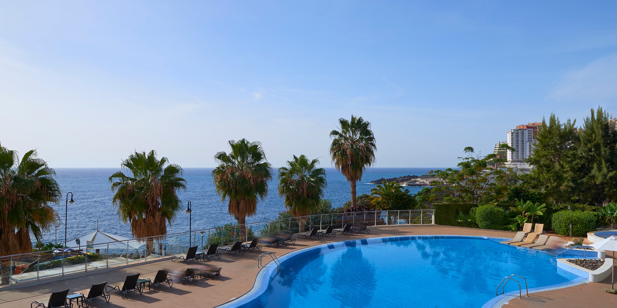 Tropical resort pool overlooking the ocean with palm trees and sun loungers.