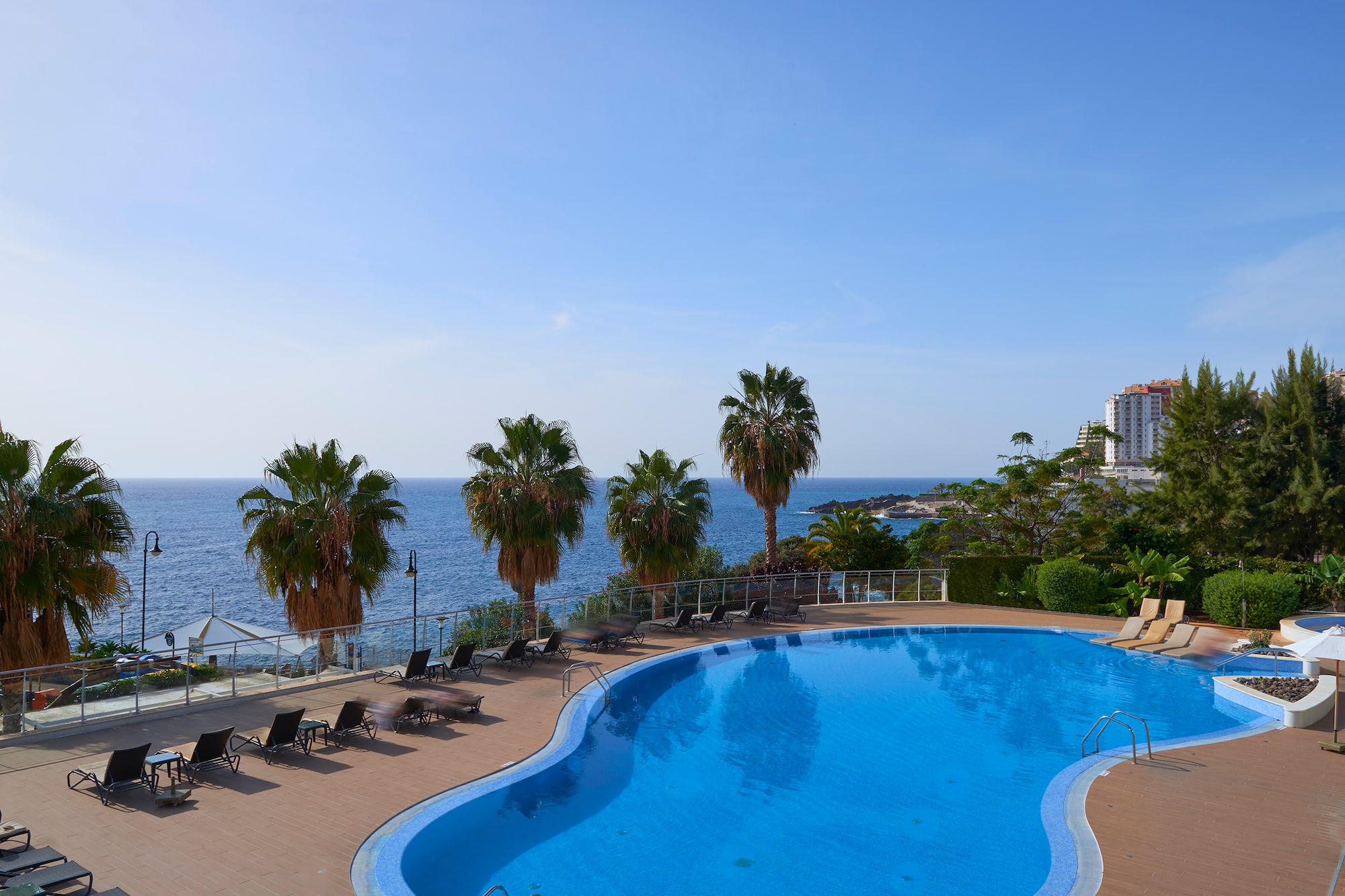 Tropical resort pool overlooking the ocean with palm trees and sun loungers.