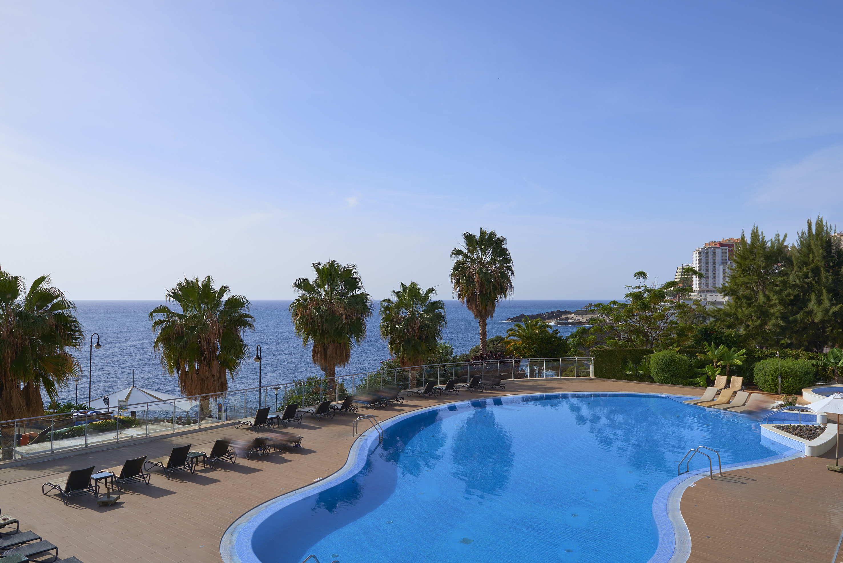 Tropical resort pool overlooking the ocean with palm trees and sun loungers.