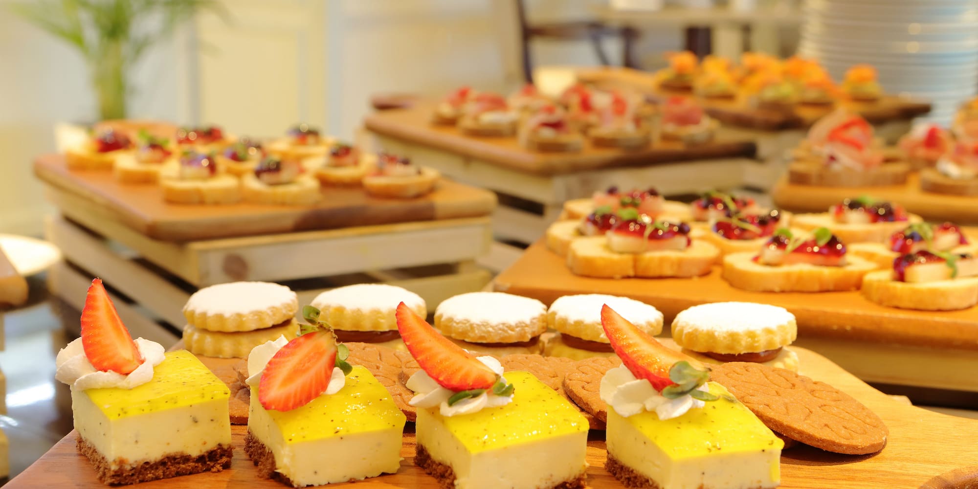 a group of desserts on a table