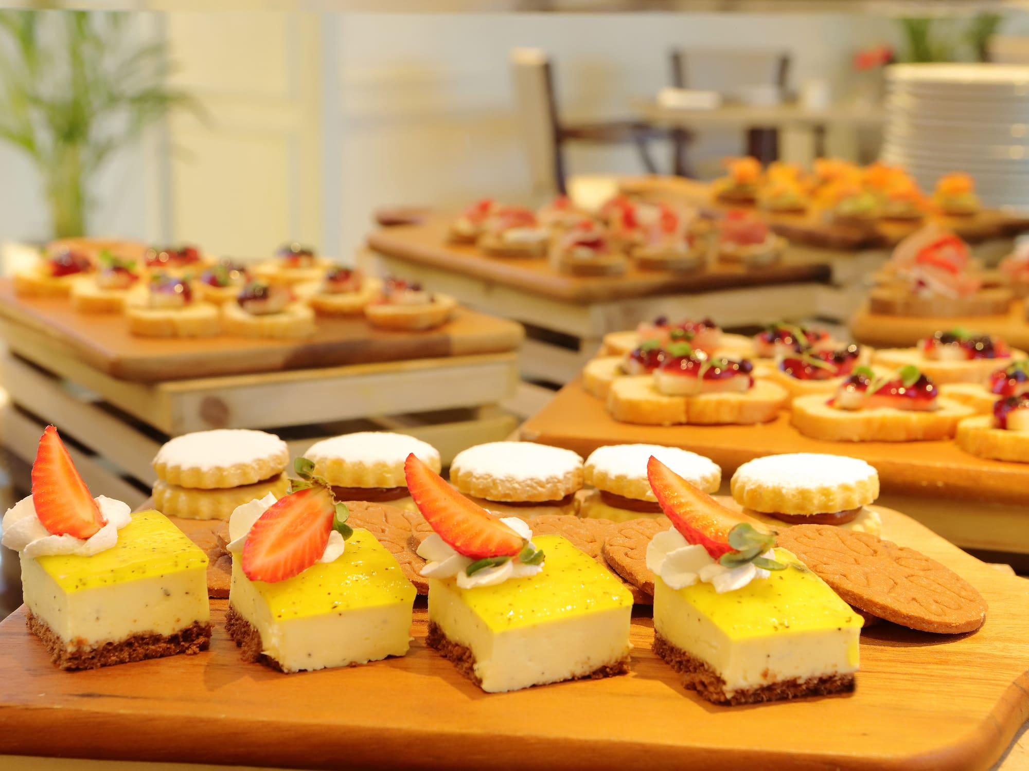 a group of desserts on a table
