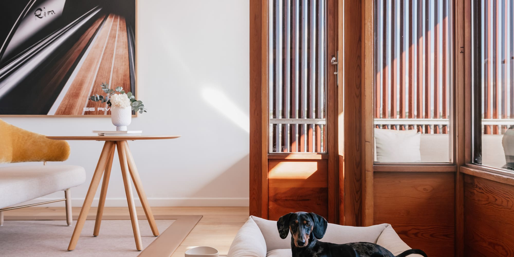 a dog lying on a dog bed